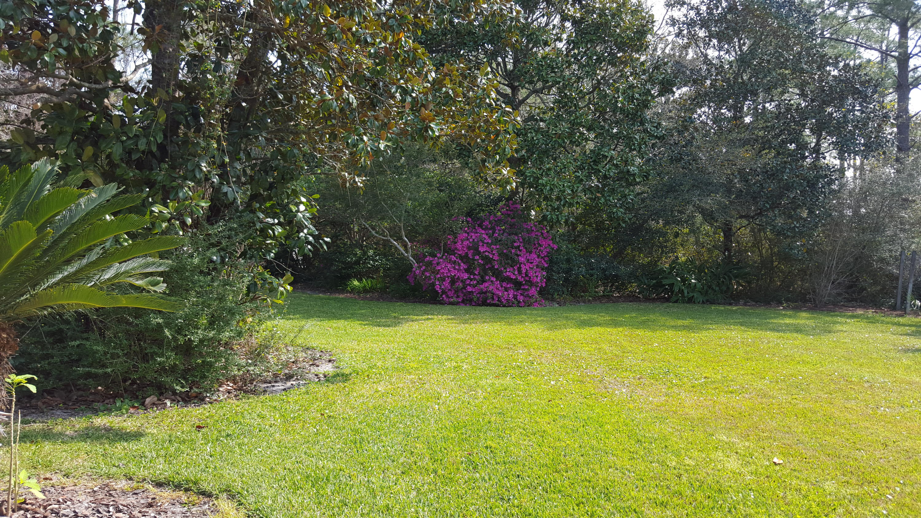 TOWN OF SANTA ROSA - Residential