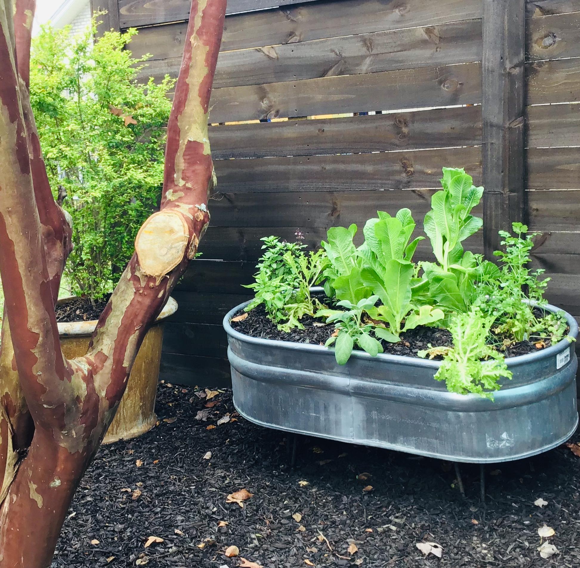 CHANAN ESTATES - Residential