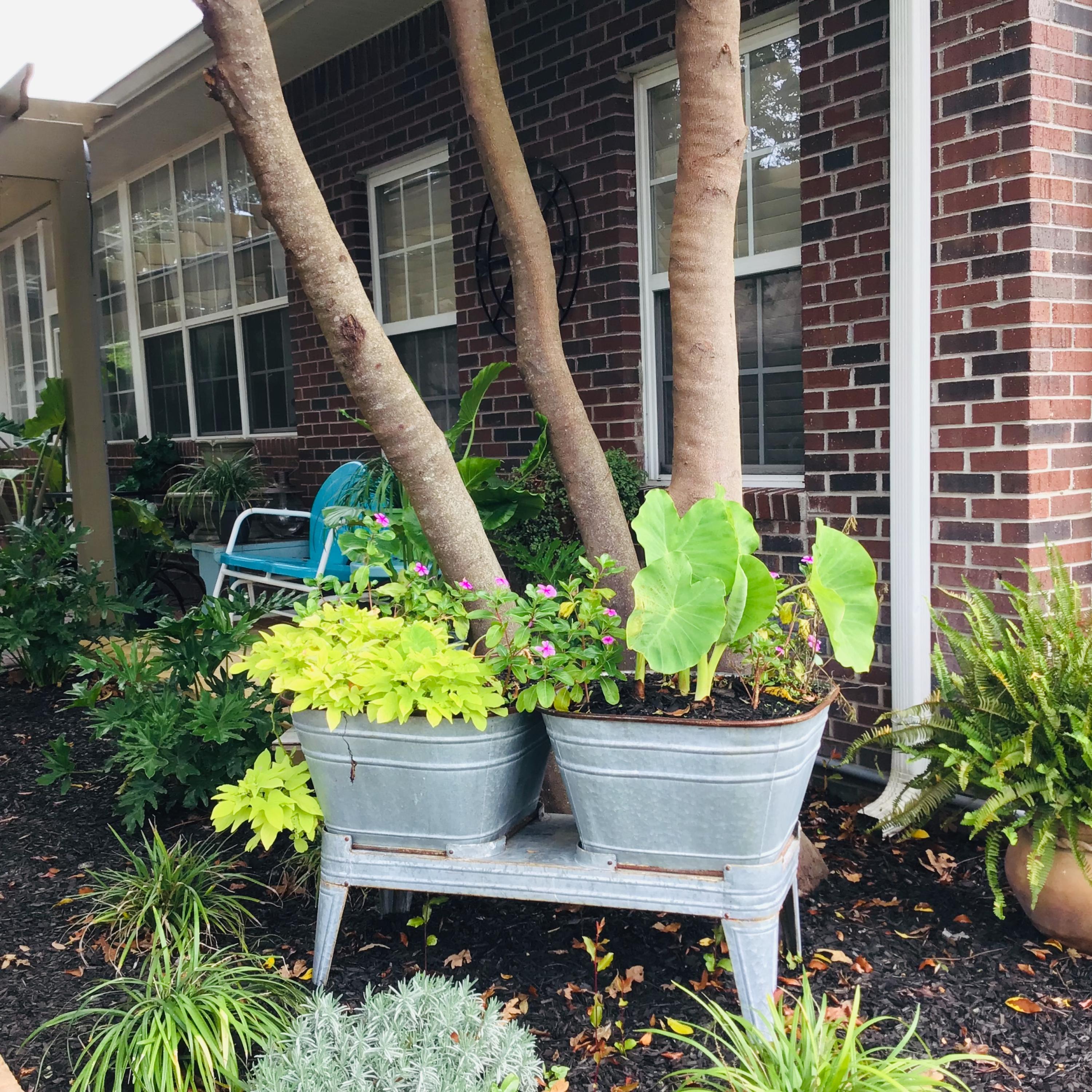 CHANAN ESTATES - Residential