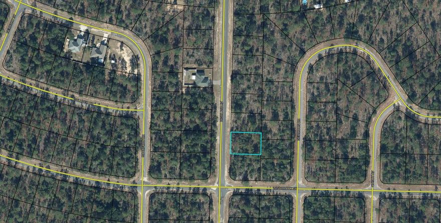 Love Golf? Dream of having a home built in proximity to your clubhouse and golf course without paying high HOA fees? This .257acre lot is perfect for you. Other than the clubhouse and beautiful Green Golf turf, Sunny Hills offers numerous lakes with white sandy beaches and clear water throughout for recreational activities such as swimming, boating, and fishing, but also provides a short drive, approximately 45 minutes to Panama City beaches when you want to visit a different slice of heaven. Northwest Florida Beaches International Airport, and Pier Park shopping are approximately 45 minutes. Approx. 20 miles from local shopping, medical, and other local amenities in Chipley.