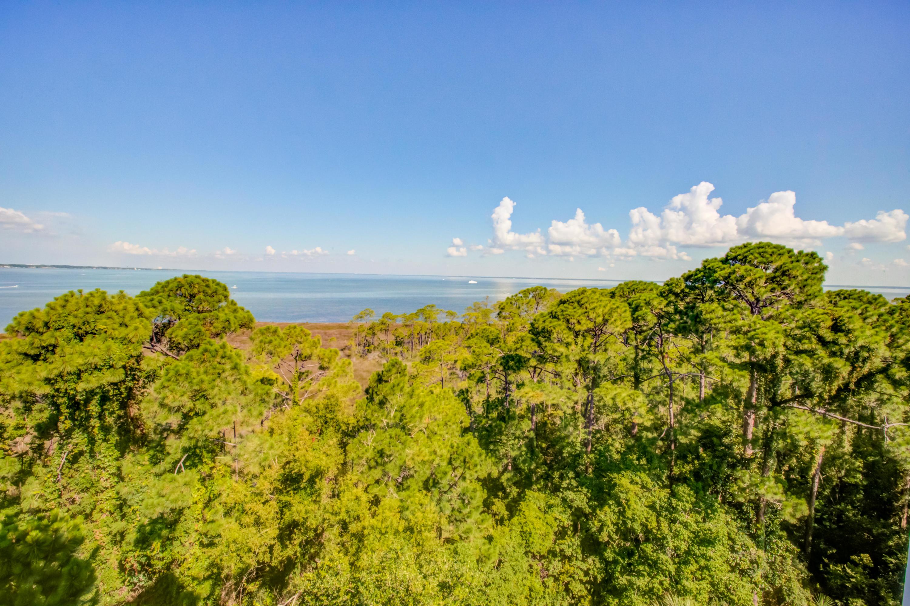 Elation - Residential