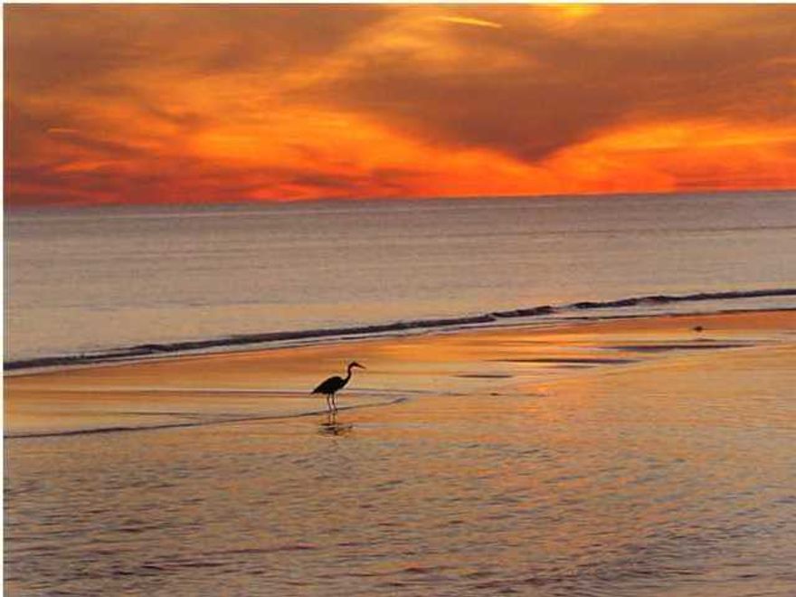 Fantastic gulf views from the Living area & Master bedroom. One of the best constructed condos on the Island. Unit comes fully furnished and ready to move in. Floor plan includes updated large kitchen w/breakfast bar & loads of cabinets unlike most condos, solid surface countertops, appliances are 2 yrs. old. Nice size laundry room with washer/dryer only 1 yr. old. Tiled floors in entry, kitchen & both bathrooms with carpet in bedrooms. Double vanities in master bath with separate dressing area. Nice size balcony with owner storage closet ... great for storing beach equipment. Relax & enjoy the pool. Covered parking provided for owners. Association does not allow pets.