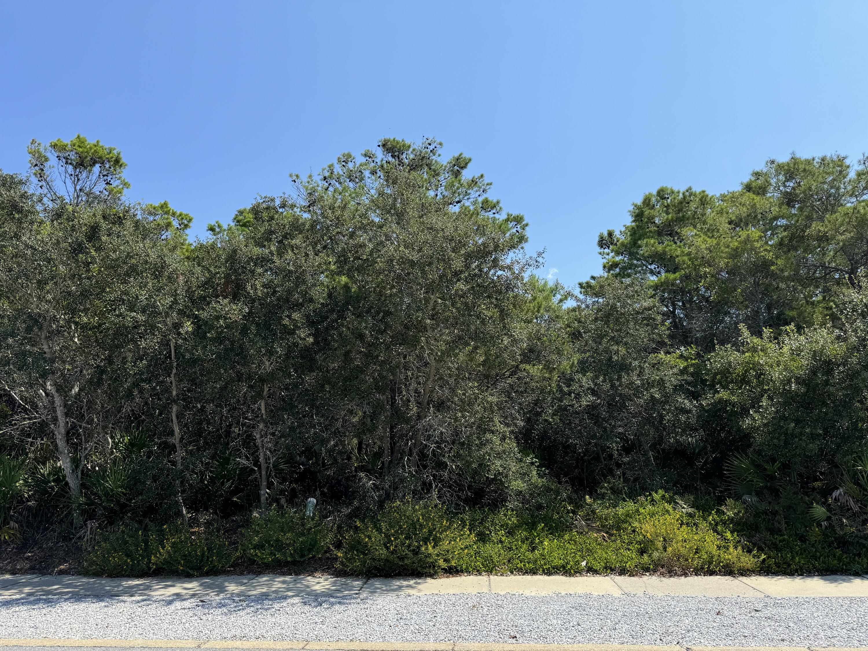 This lot offers exceptional opportunities. Because of its size, location and elevation, it is one of the largest lots in Carillon Beach and will have great views of Lake Carillon across the street, and possibly the Gulf of Mexico from the towers - the main house can have two levels and a 400 square foot tower on the third floor. The peak of the roof on the tower can go to 50 feet. The guest house can have a footprint of 600 square feet and a total of three stories plus a tower. You can create your own little paradise with main house, guest house, and pool compound. Convenient to downtown Carillon Beach shops and a short walk to the beach, this lot has it all. Don't miss out on one of the last few buildable lots in Carillon Beach!