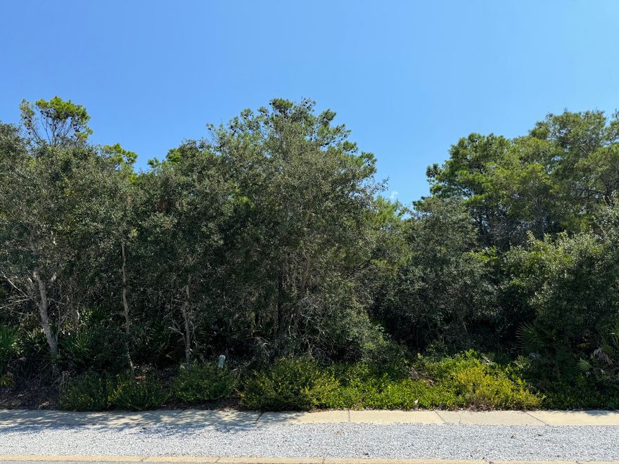 This lot offers exceptional opportunities. Because of its size, location and elevation, it is one of the largest lots in Carillon Beach and will have great views of Lake Carillon across the street, and possibly the Gulf of Mexico from the towers - the main house can have two levels and a 400 square foot tower on the third floor.  The peak of the roof on the tower can go to 50 feet.  The guest house can have a footprint of 600 square feet and a total of three stories plus a tower. You can create your own little paradise with main house, guest house, and pool compound.  Convenient to downtown Carillon Beach shops and a short walk to the beach, this lot has it all.  Don't miss out on one of the last few buildable lots in Carillon Beach!