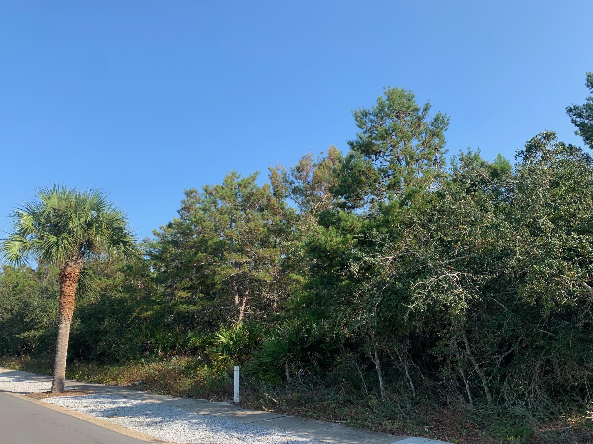 CARILLON BEACH - Land