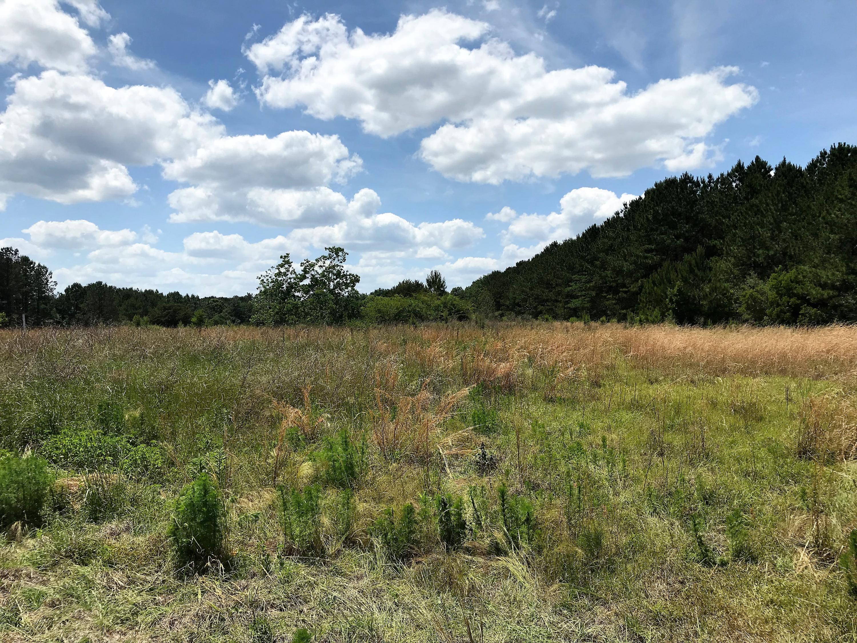 LADON FARMS UNREC - Farm