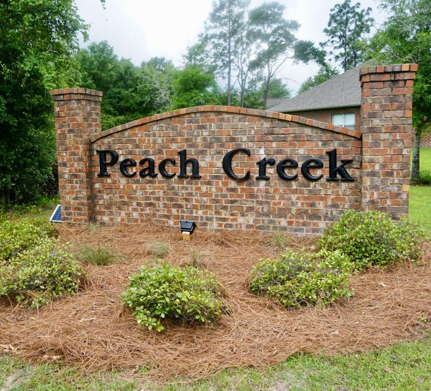 Seller is offering up to $7500 in closing costs if buyer uses affiliate DHI Mortgage for financing.Enter beautiful spacious 5 bedroom/3 bath single story home through welcoming foyer. Study and formal dining are on either side. Huge open concept kitchen and great room make this home truly special. Oversized island and gourmet kitchen with stainless steel hood is perfect for entertaining guests. Covered patio off eat-in kitchen allows for seamless transition between indoor and outdoor living. Master bedroom is set apart from other bedrooms offering privacy. Peach Creek is centrally located in Santa Rosa Beach: 5 min drive to Publix, 5 mins from Bay Elementary, 3 mins to Emerald Coast Middle School, 10 mins from South Walton High School, 10 mins to beaches.