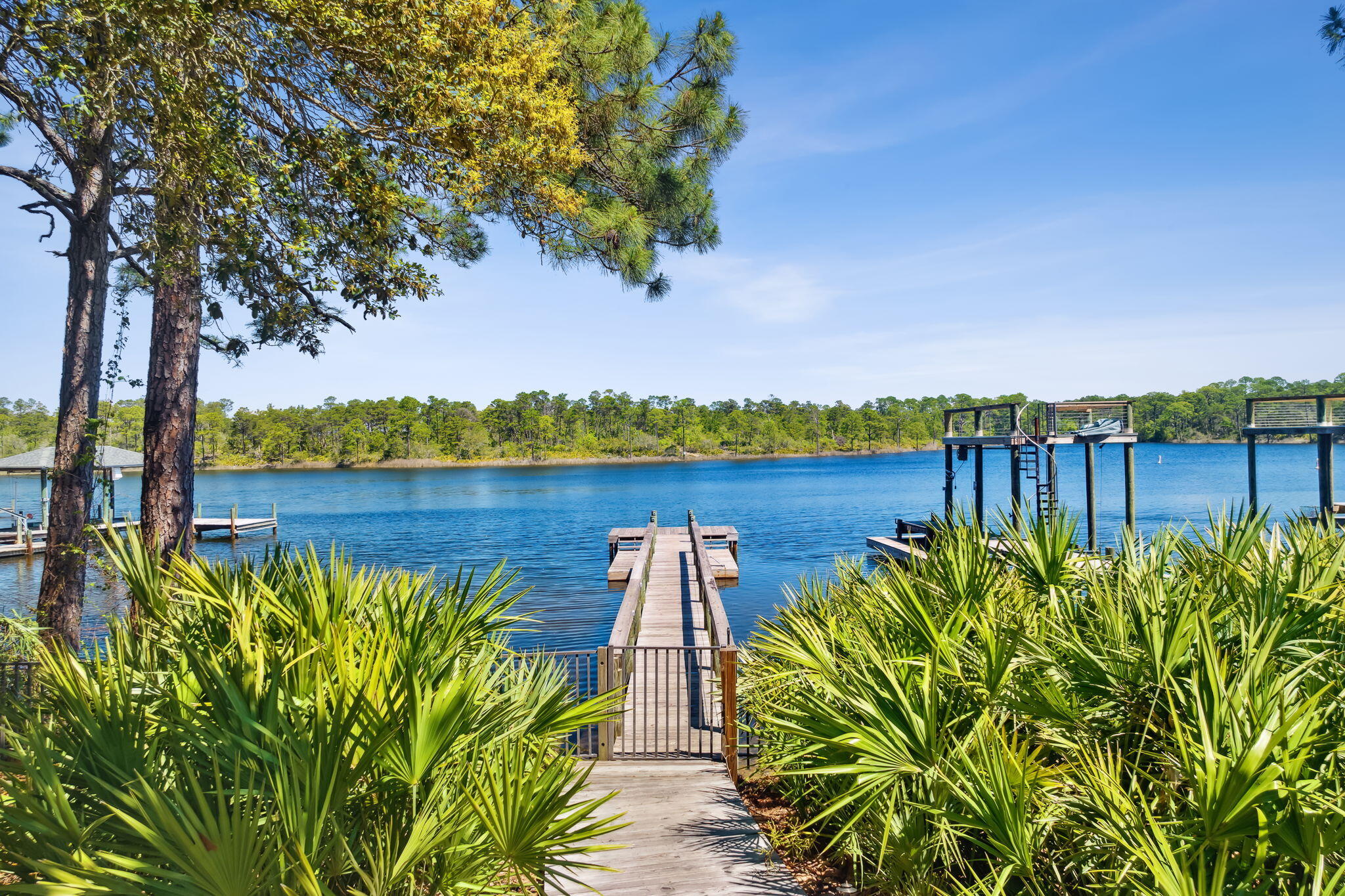 GRANDE POINTE AT INLET BEACH - Residential