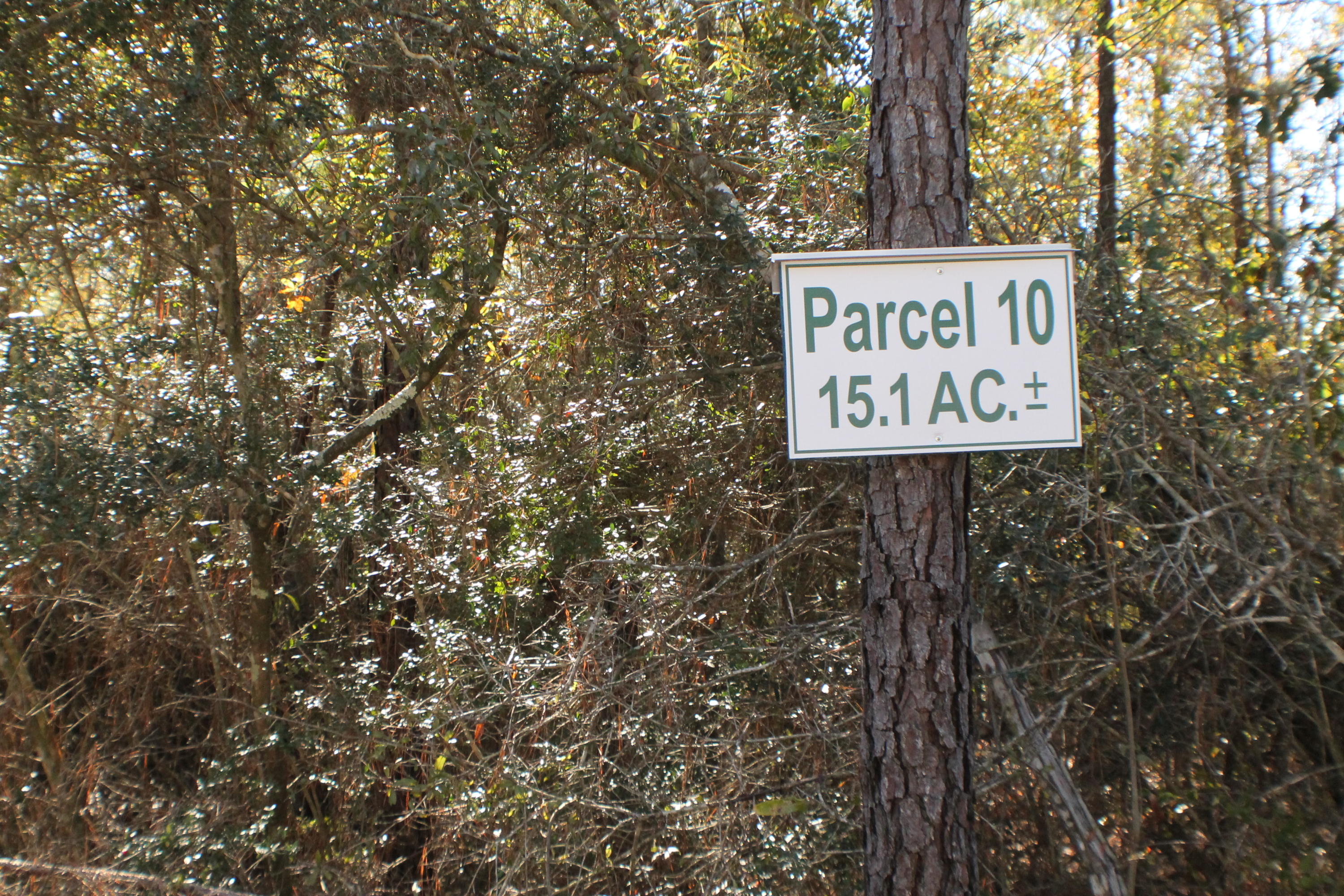 MILLERS BLUFF - Land