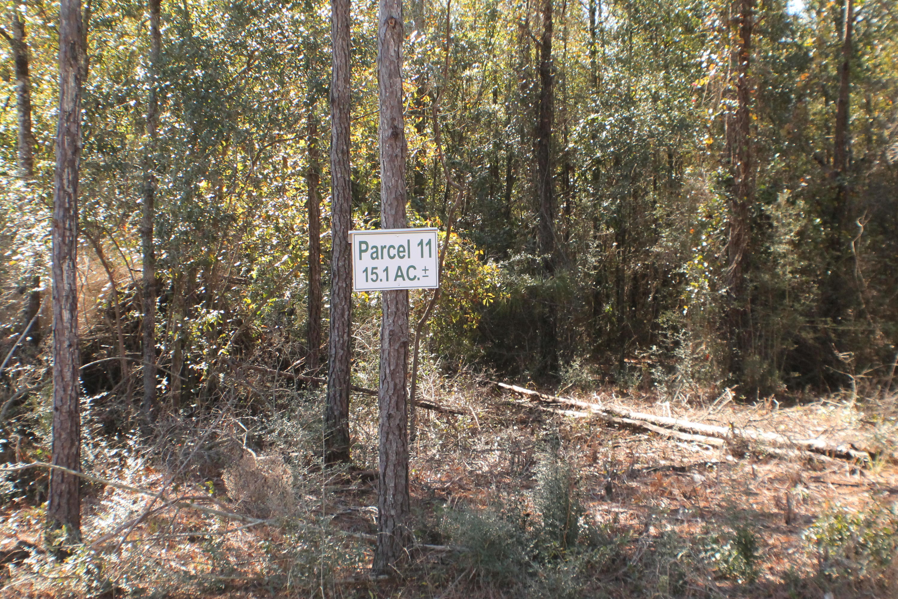 MILLERS BLUFF - Land