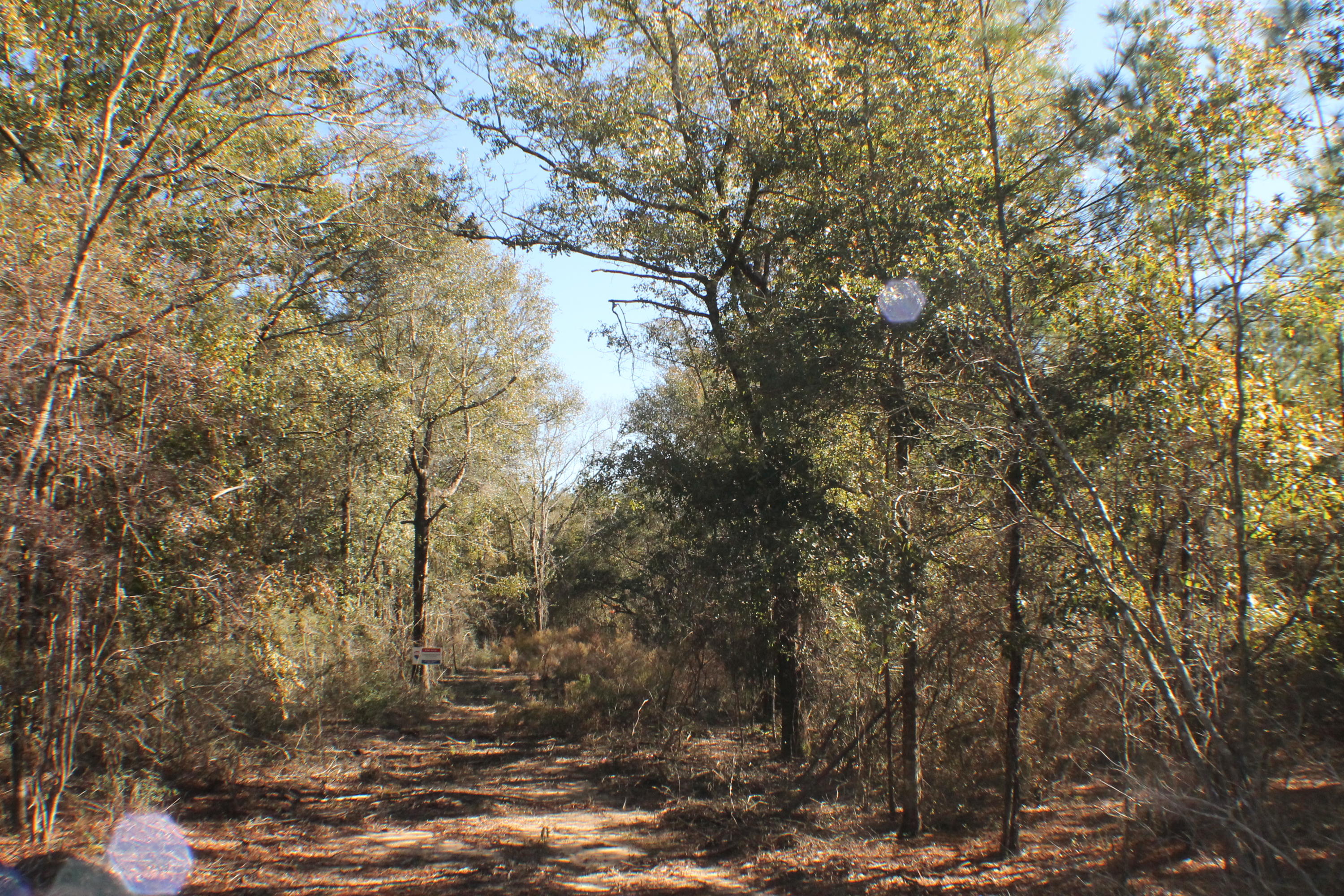 MILLERS BLUFF - Land