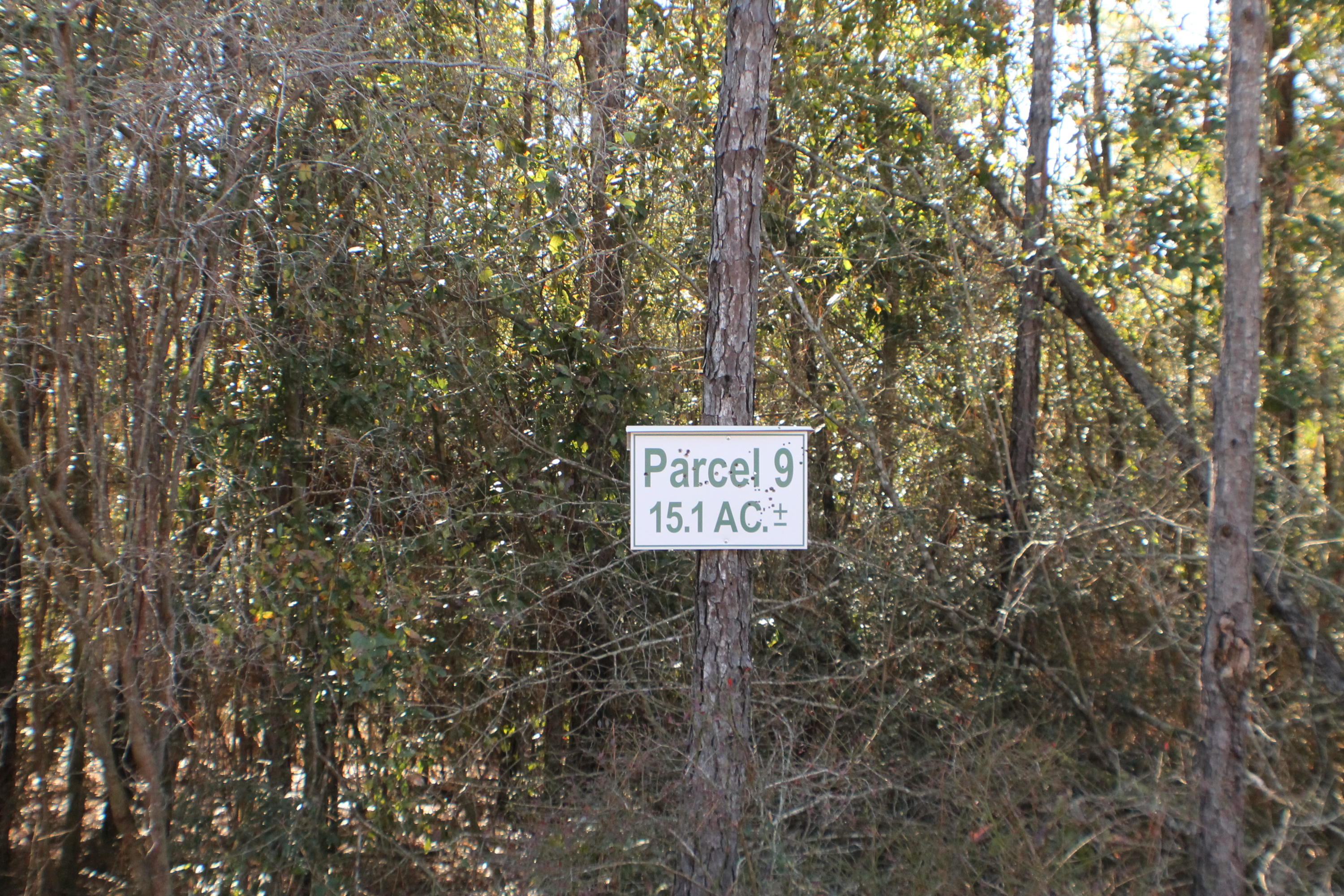 MILLERS BLUFF - Land