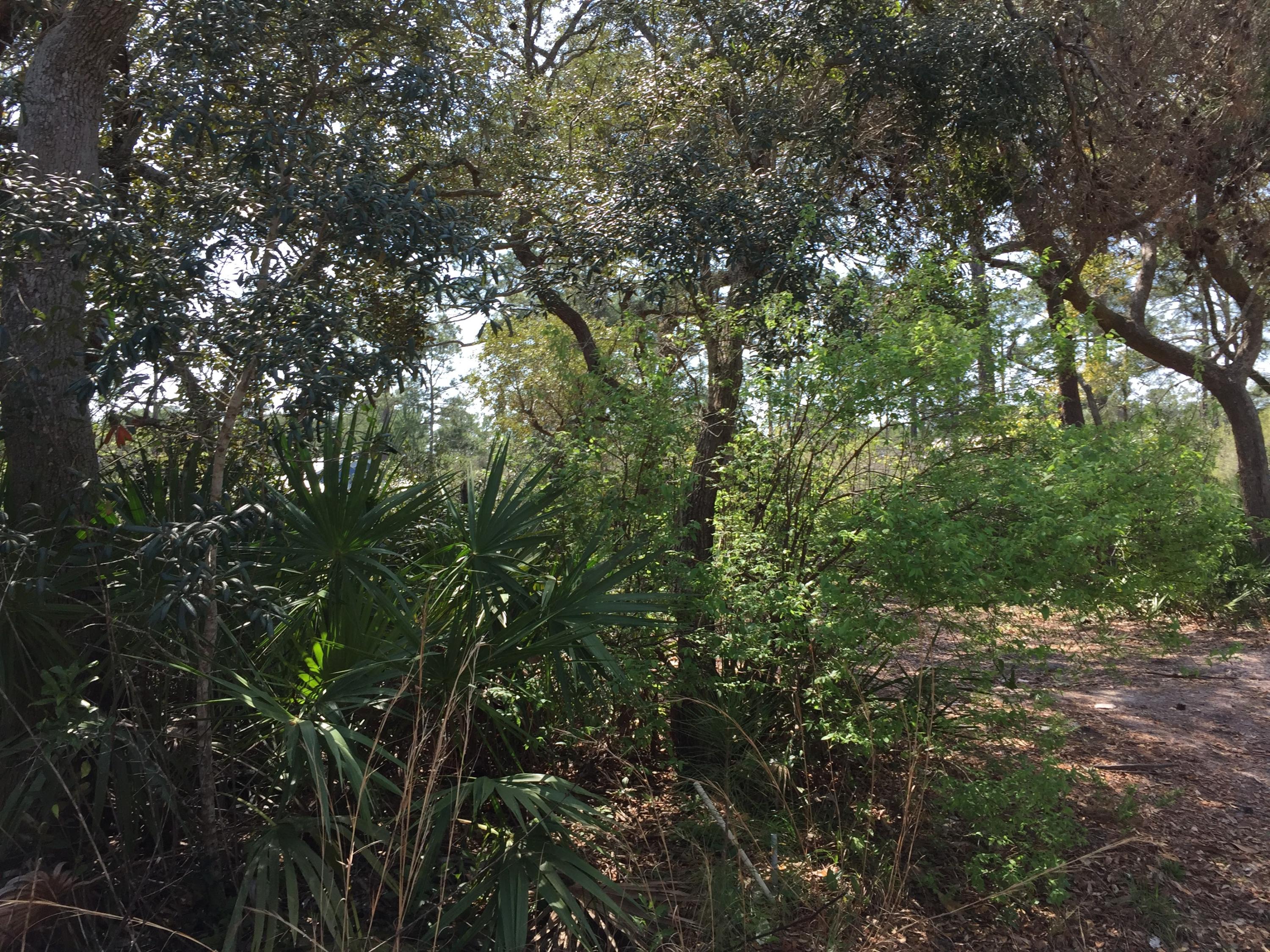 MAGNOLIA BEACH - Land