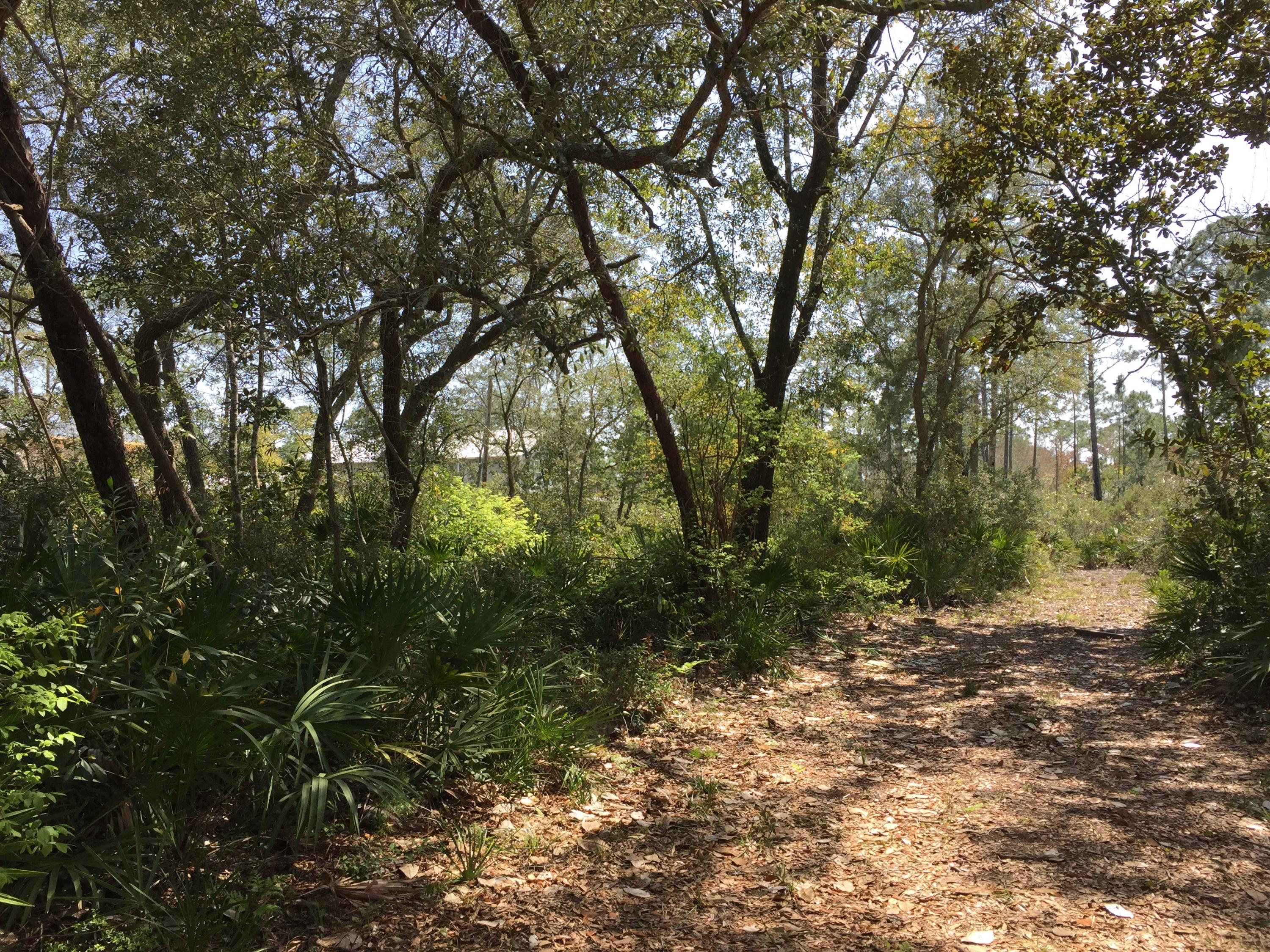 MAGNOLIA BEACH - Land