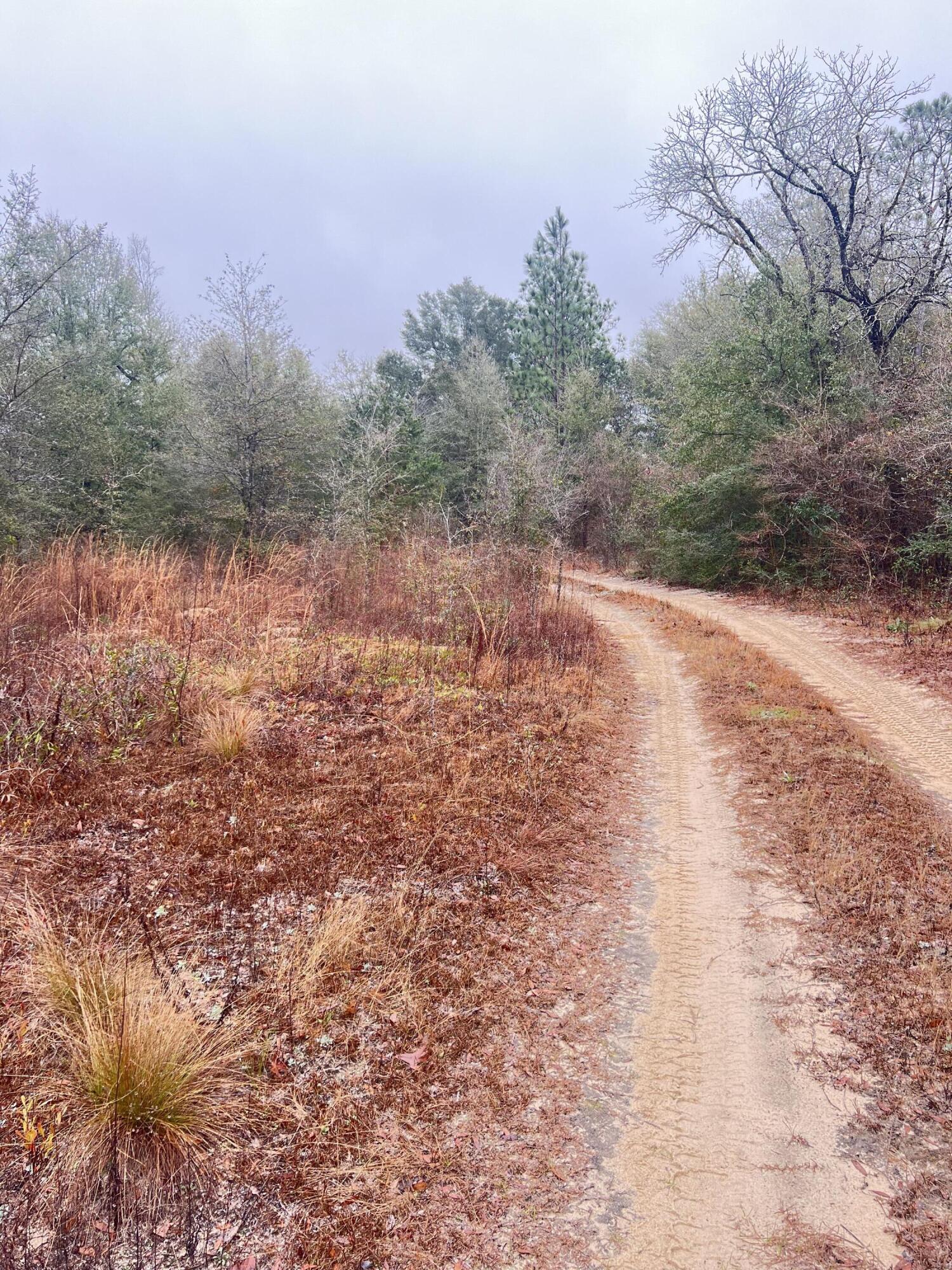 METES & BOUNDS - Land