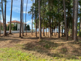 HOLIDAY SHORES ESTATES - Land