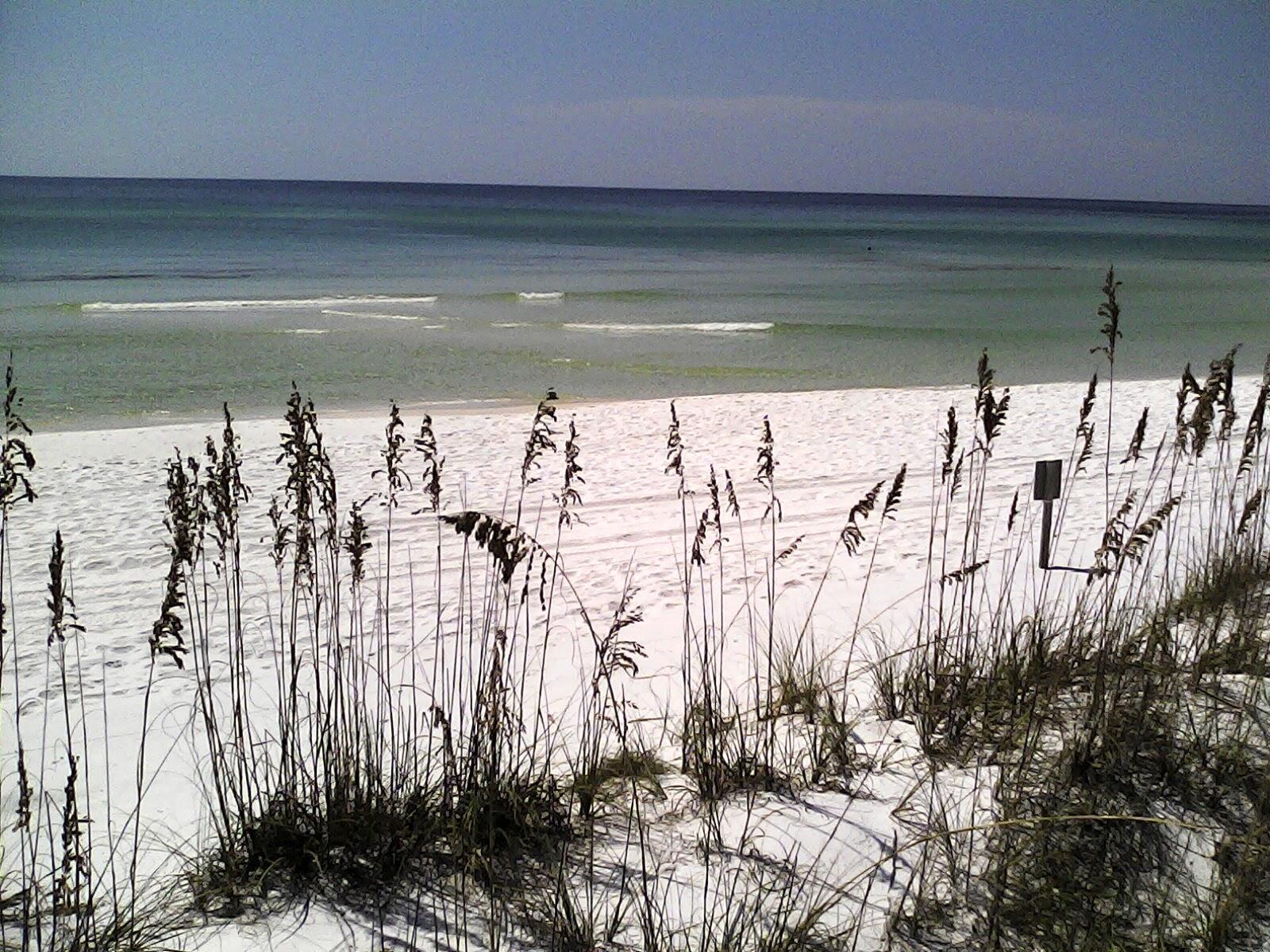 HOLIDAY SHORES ESTATES - Land