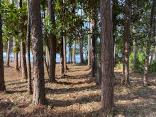 HOLIDAY SHORES ESTATES - Land