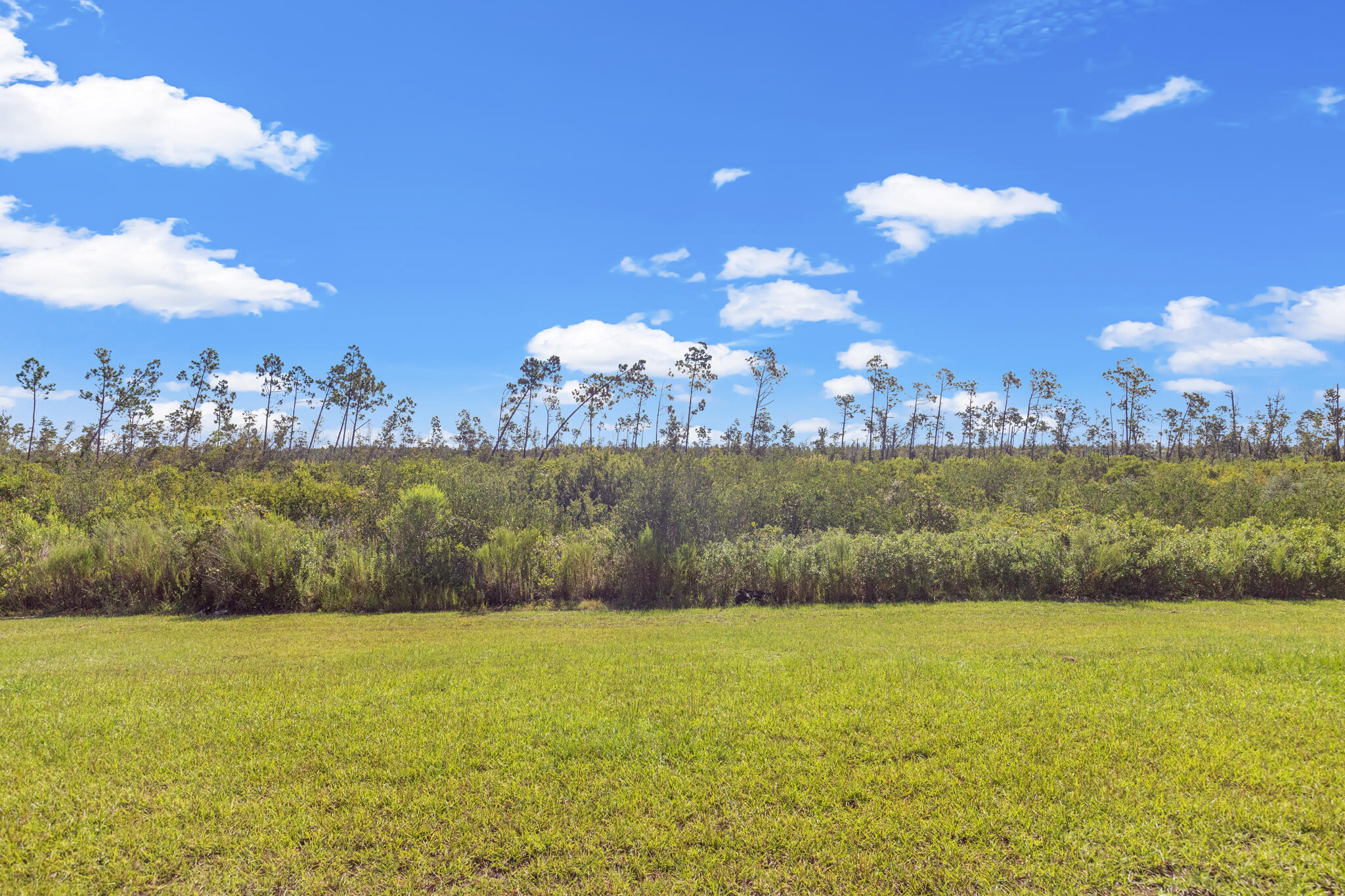 Titus Park - Residential Lease