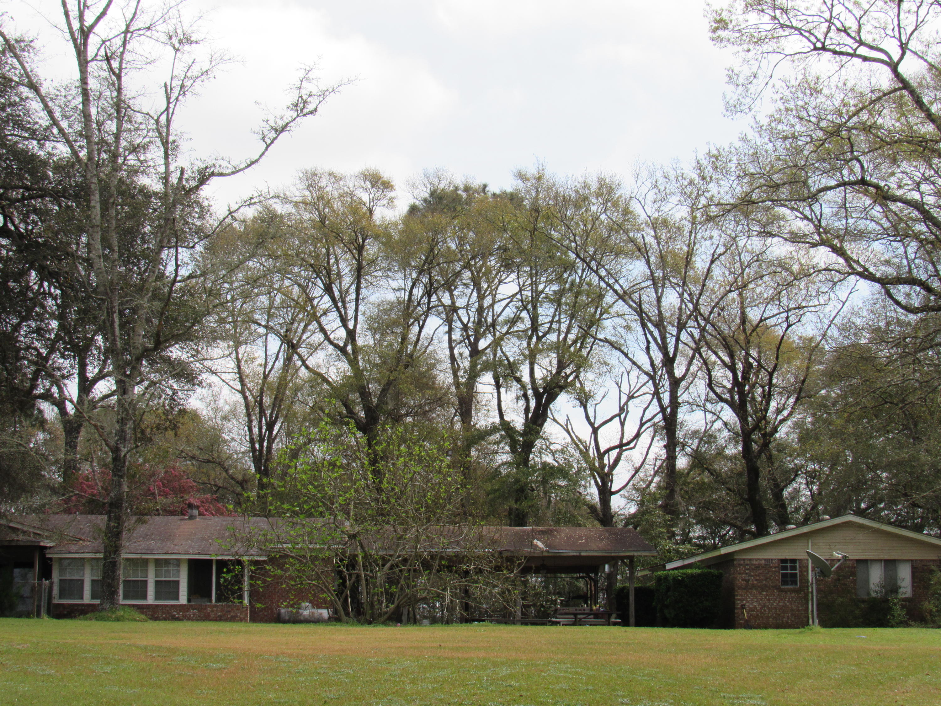 METES & BOUNDS - Land