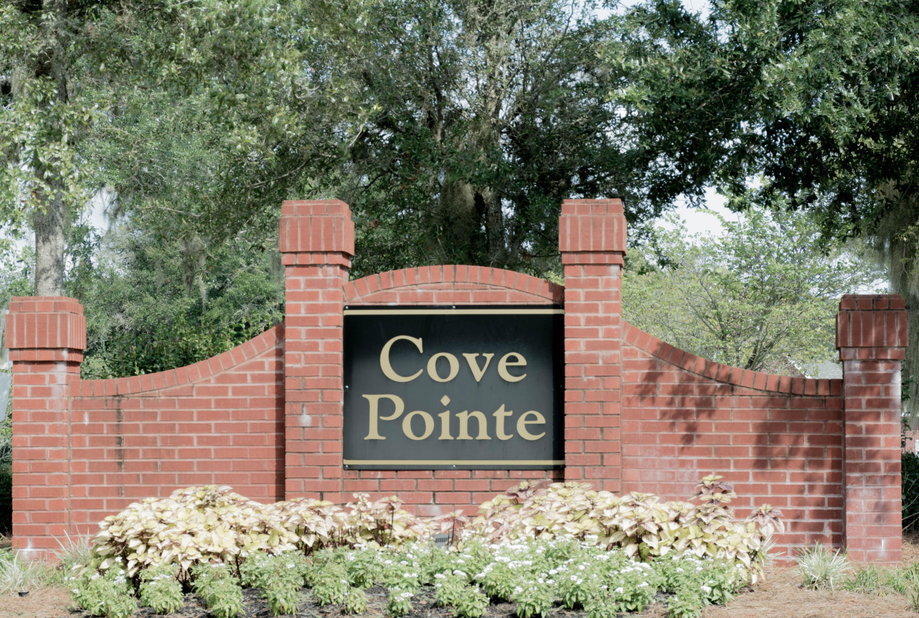 Cove Pointe - Residential