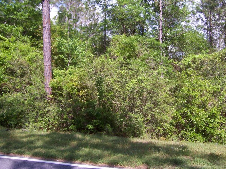 Approximately 5 acre property between Crestview and DeFuniak, minutes form town with tons of potential. Wooded property in great location.