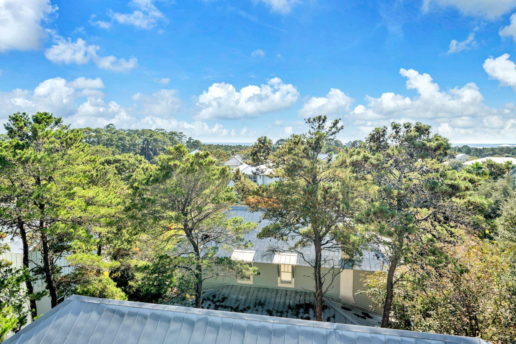 GRANDE POINTE AT INLET BEACH - Residential