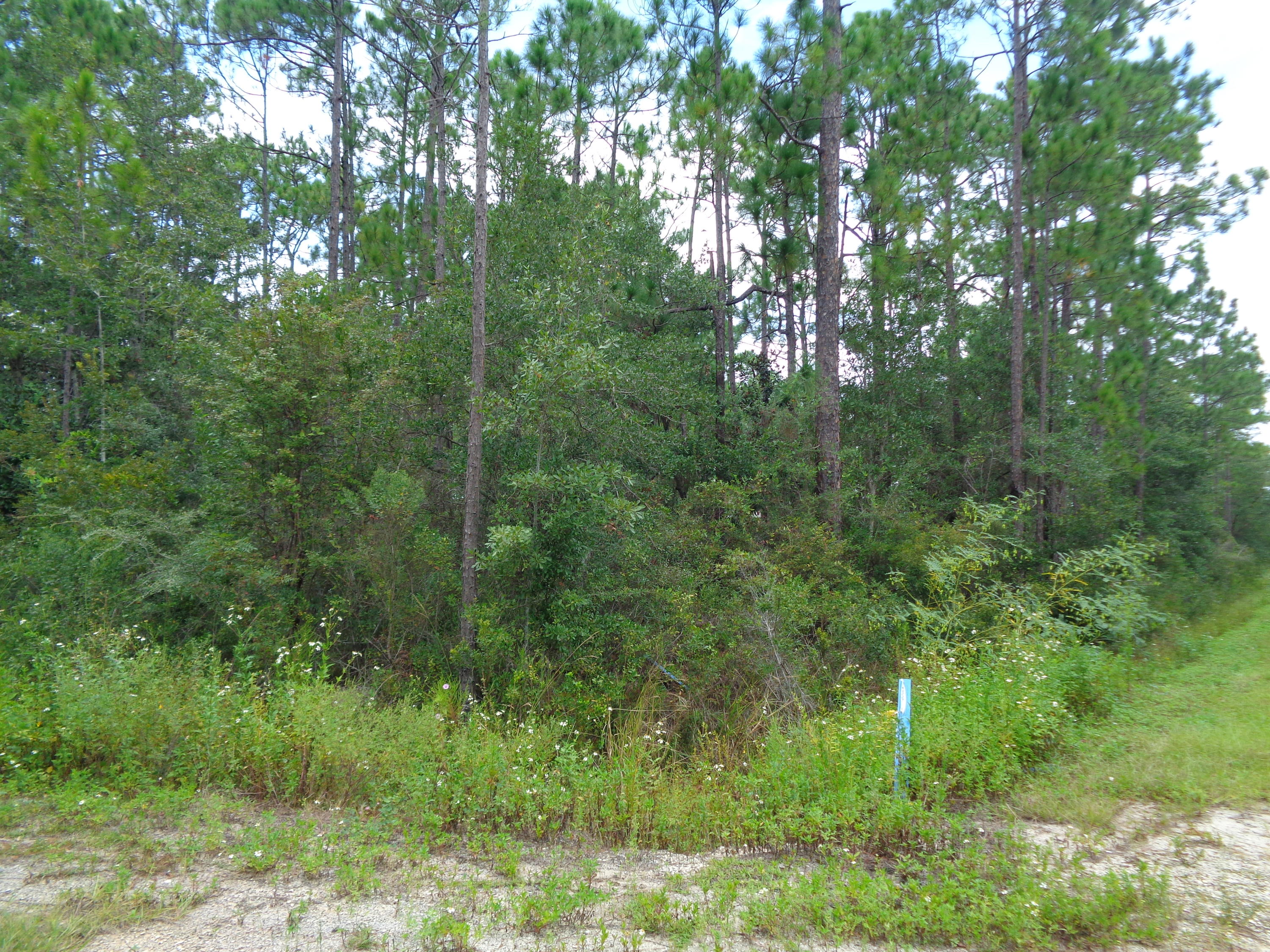 MAGNOLIA BEACH - Land