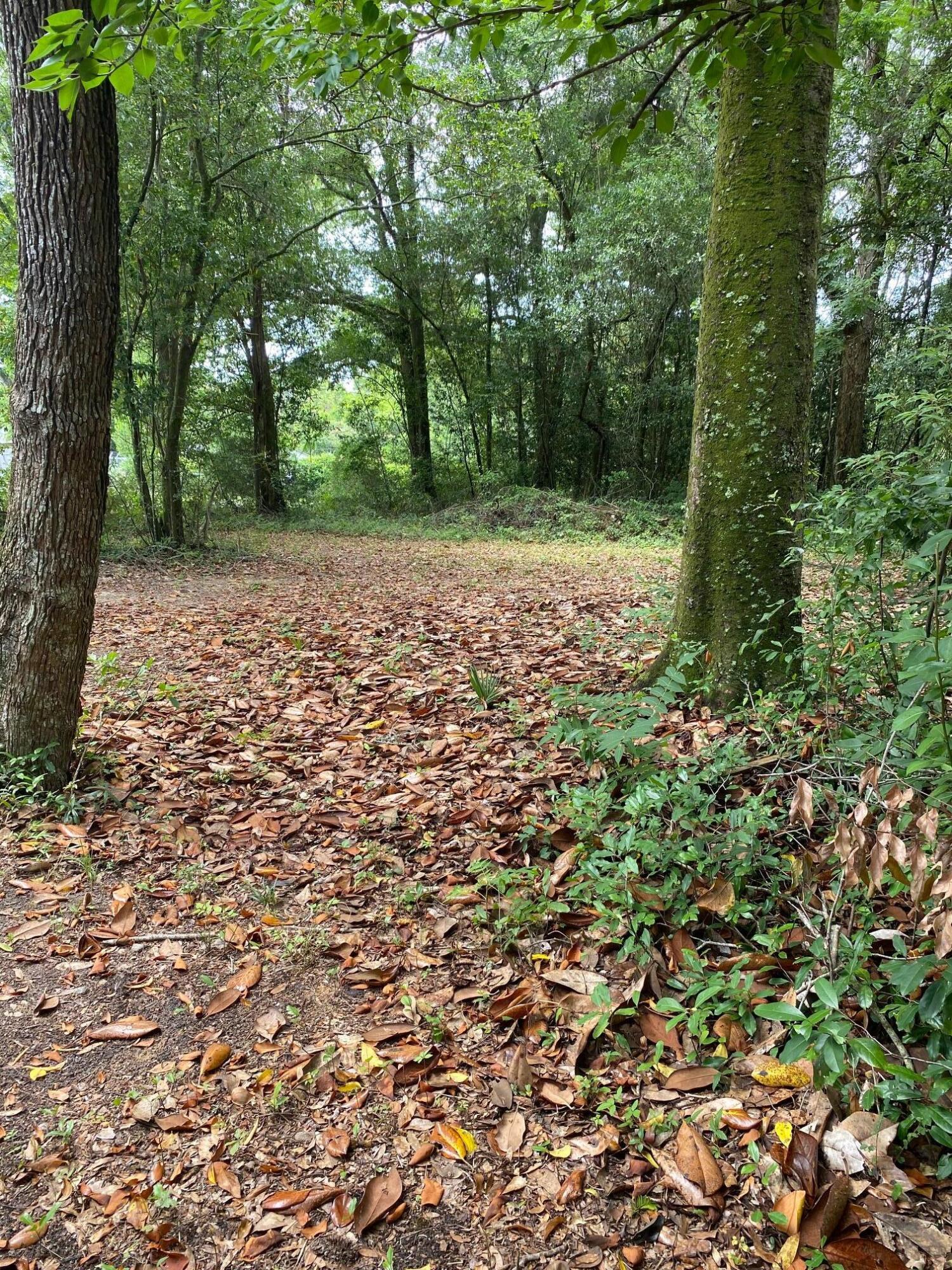 TOWN OF DEFUNIAK SPRINGS - Residential