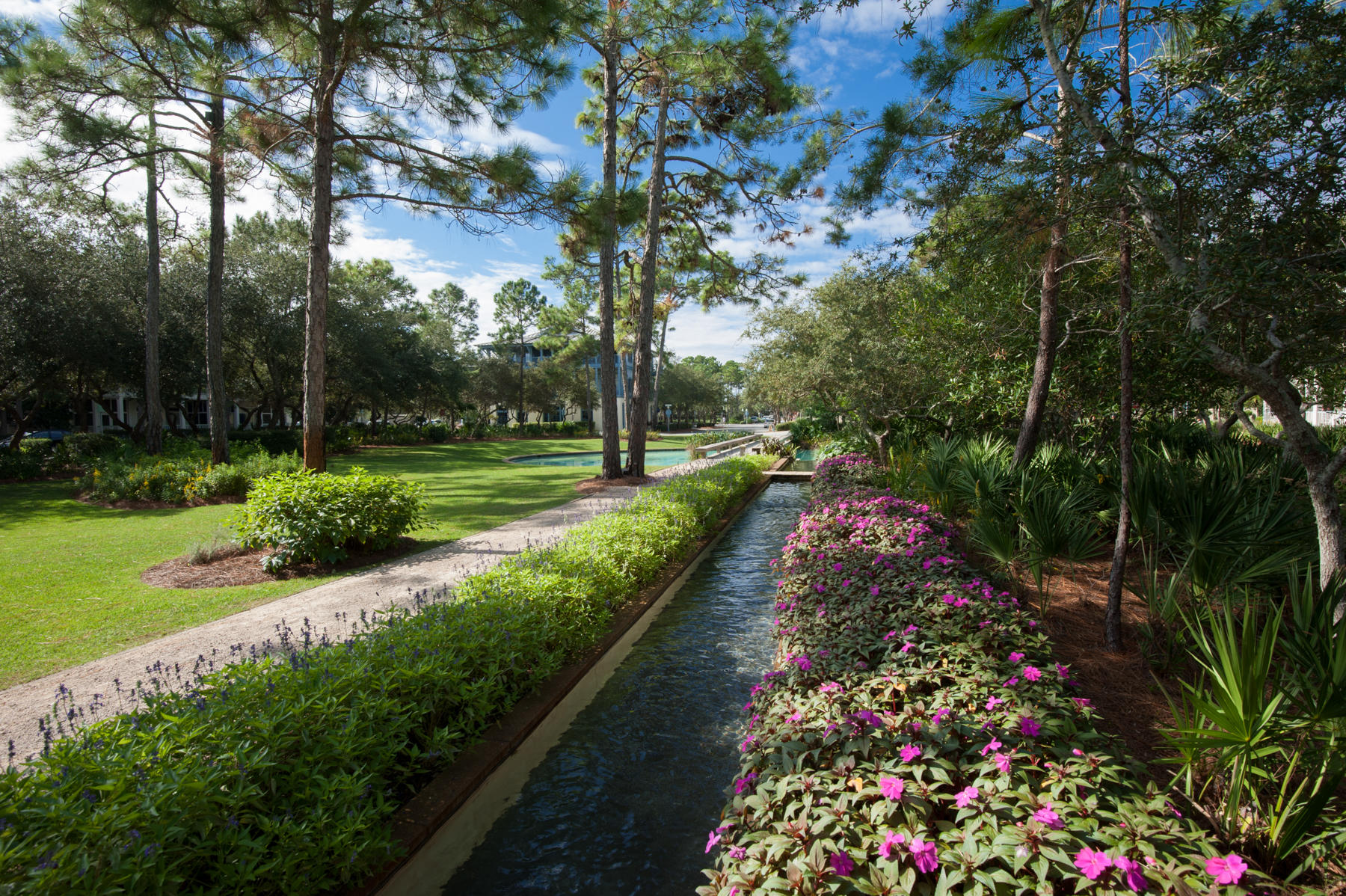 WATERCOLOR - Residential