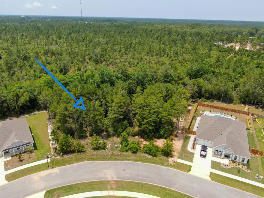 Welcome to Ashton Park in Freeport, Florida.   Freeport is known for its quiet and natural beauty with close proximity to Choctawhatchee Bay and the stunning white sand beaches of 30A.   This generous size lot is one of the last two available on the block and is situated among newly built homes just waiting for someone to build their dream home.   Conveniently located near Freeport Elementary School and easy access to Highway 331.    The adjacent LOT 25 is also available and may be purchased together with LOT 24 for $130,000.