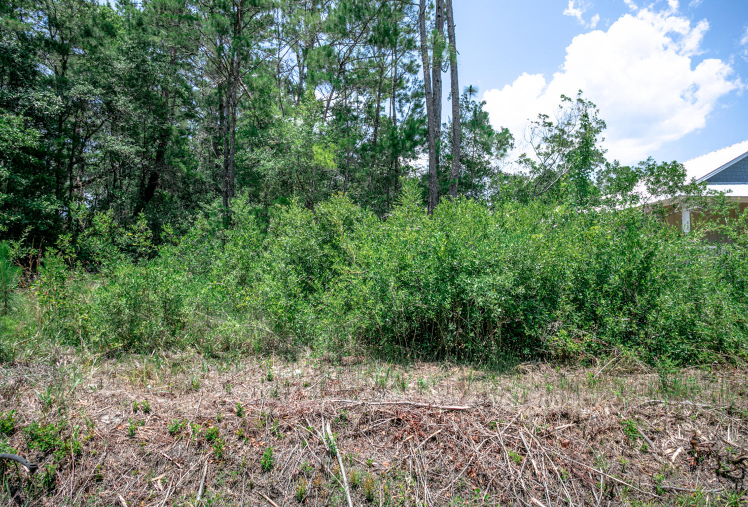 GRAYTON BAYOU - Land