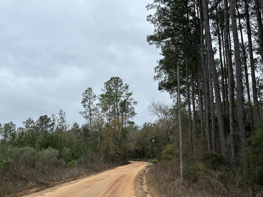 Dream Location for Country Living or Hunters Paradise either way you won't want to miss this opportunity! This Beautiful 41.03+/- Acres of prime land on a corner lot on Dirt rd  White RD. and open creek Rd. Power may be available from white rd. Bring your build plans, hunting gear, Horses and ATVS LOCATION LOCATION!!!! This Property has Easy Access to Panama City Beaches I-10, Hwy 79, Hwy 81, and Hwy 90.