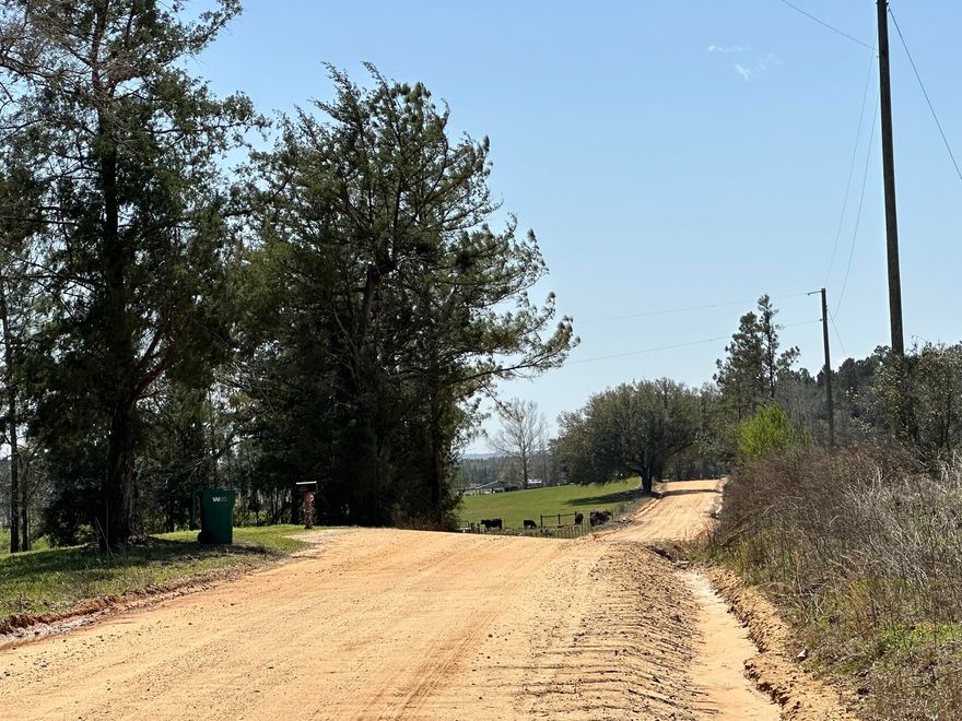 Dream Location for Country Living or Hunters Paradise either way you won't want to miss this opportunity! This Beautiful 12.88+/- Acres of prime land on a corner lot has so much to offer. paved rd on Douglas Ferry Rd. Bring your build plans, hunting gear, Horses and ATVS LOCATION LOCATION!!!! This Property has Easy Access to Panama City Beaches I-10, Hwy 79, Hwy 81, and Hwy 90.