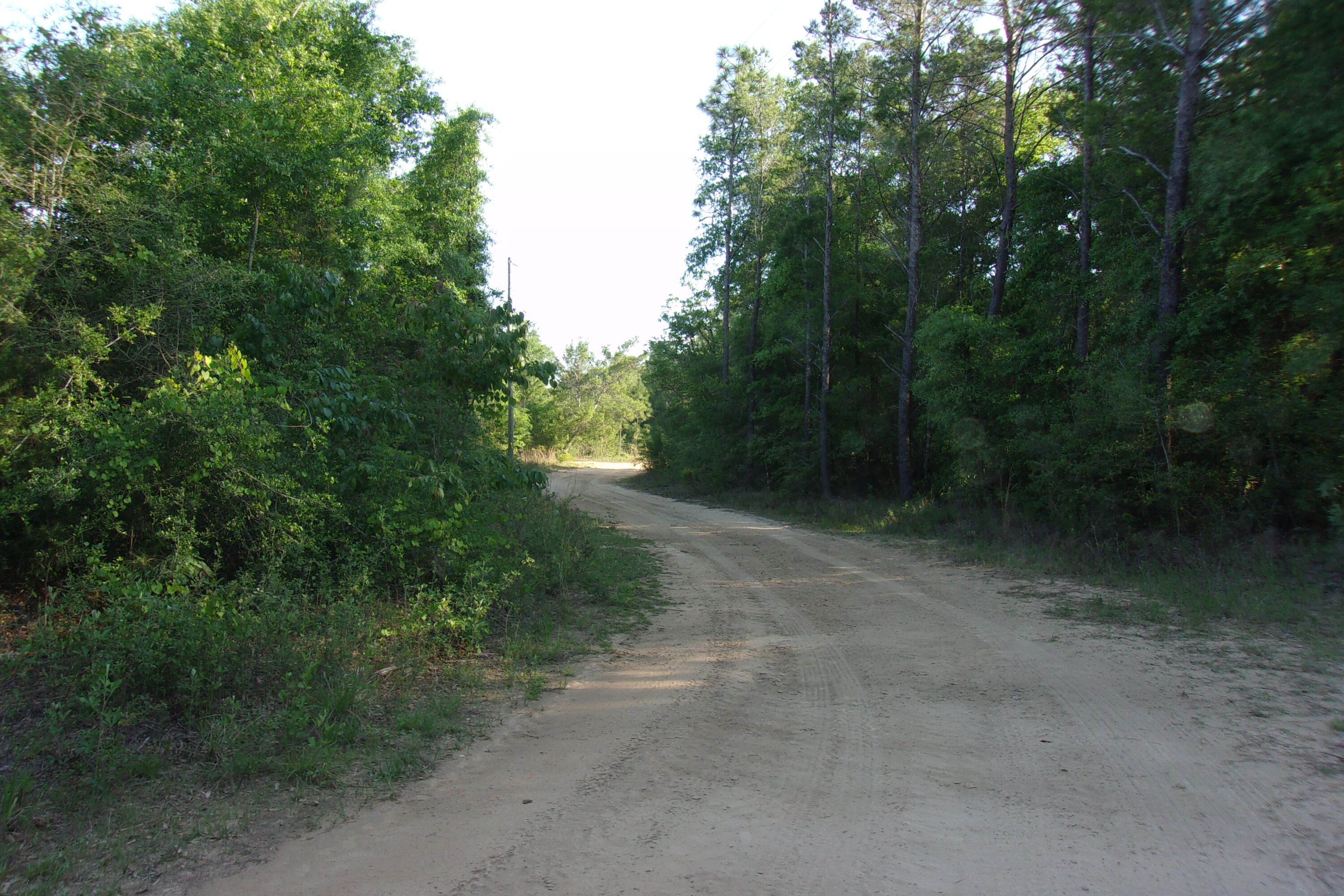 Level 1/4 acre corner lot just East of Crestview and West of Hwy 285~