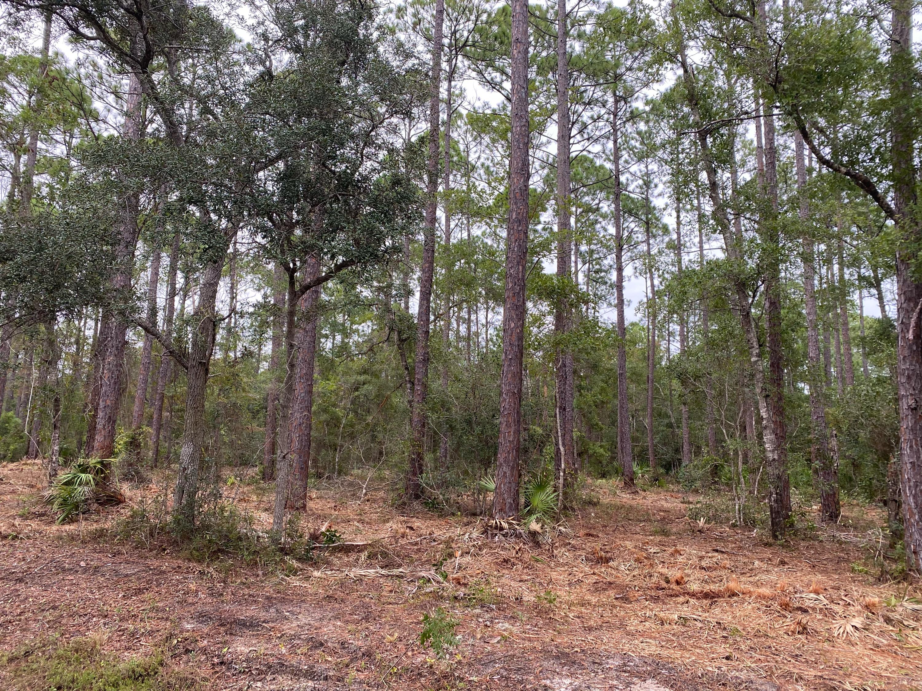 CROSS CREEK SHORES - Land