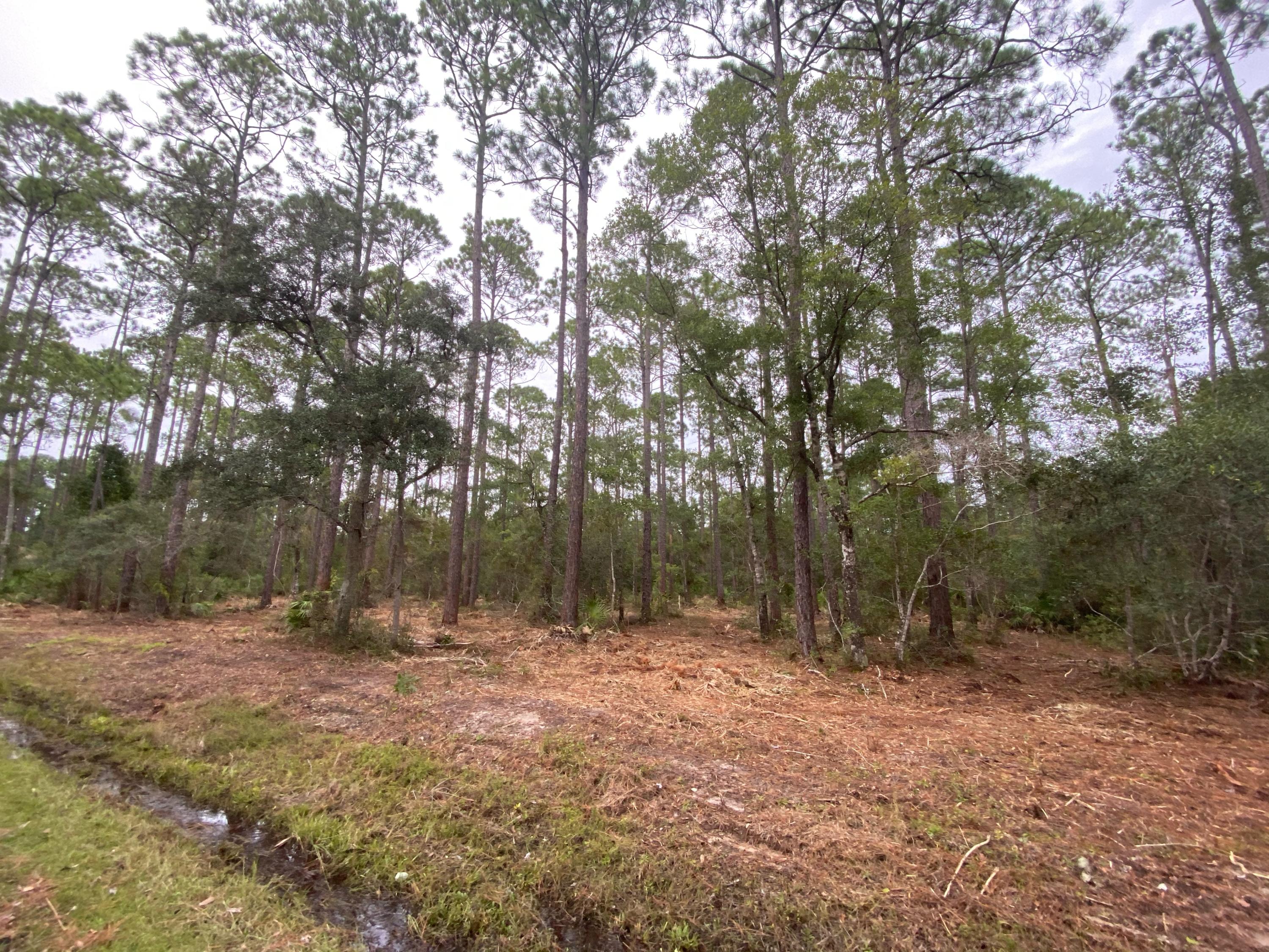 CROSS CREEK SHORES - Land