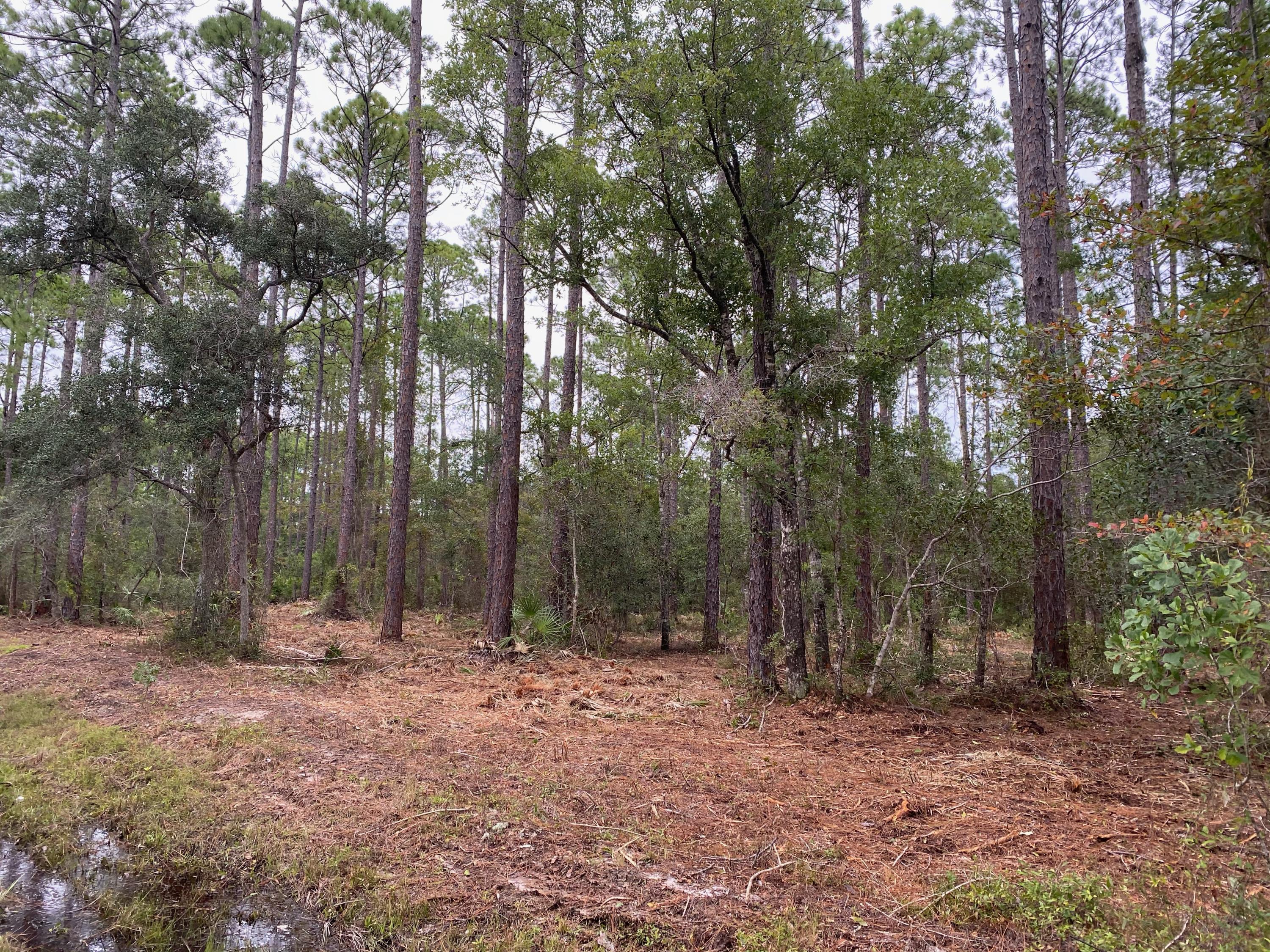 CROSS CREEK SHORES - Land