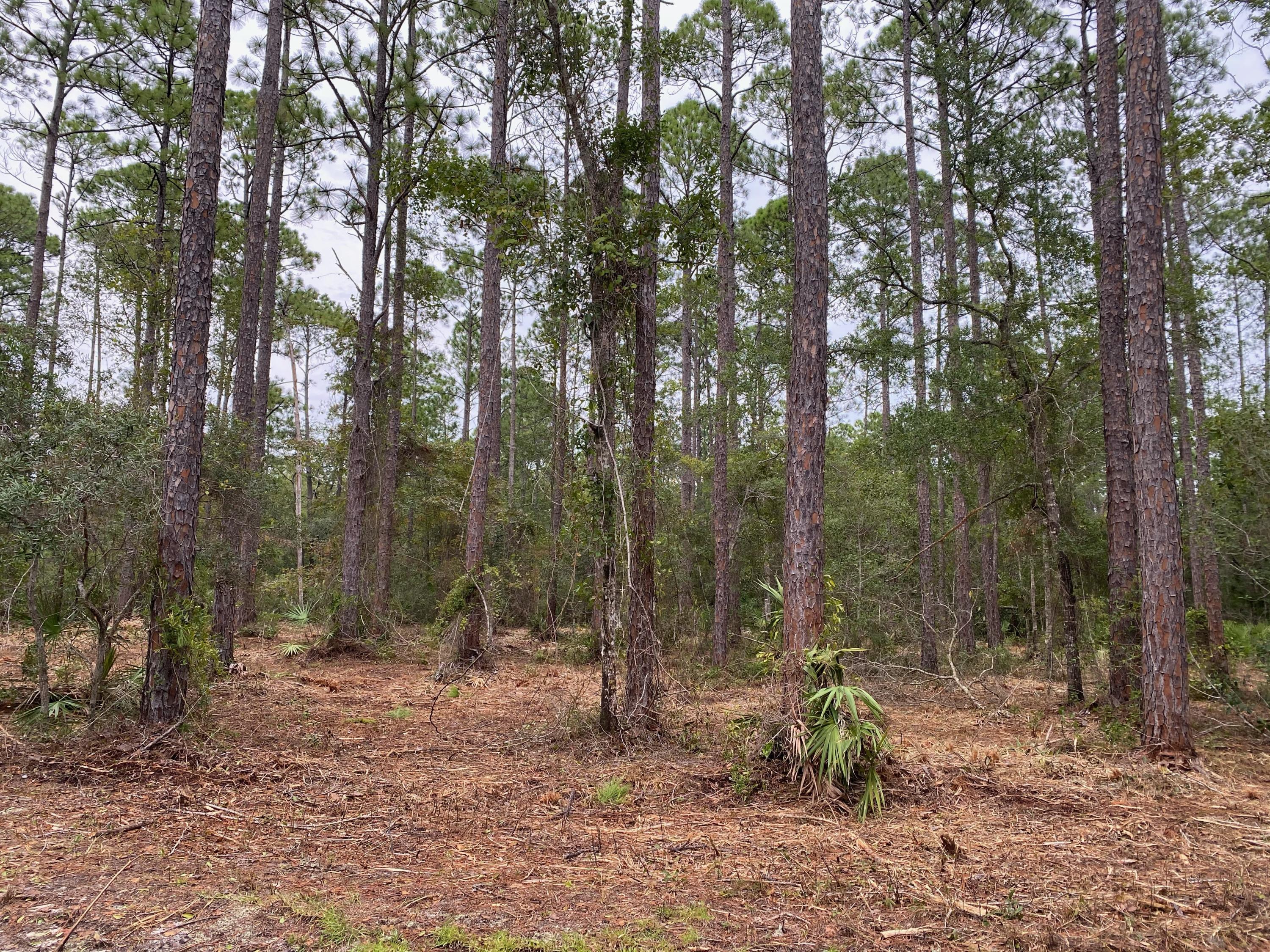 CROSS CREEK SHORES - Land