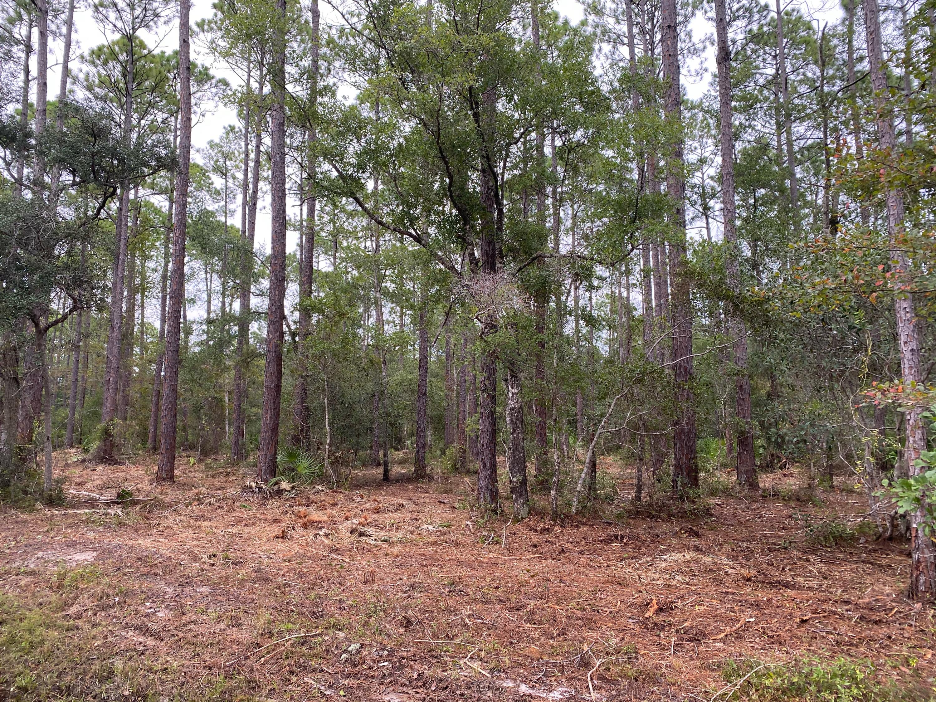 CROSS CREEK SHORES - Land