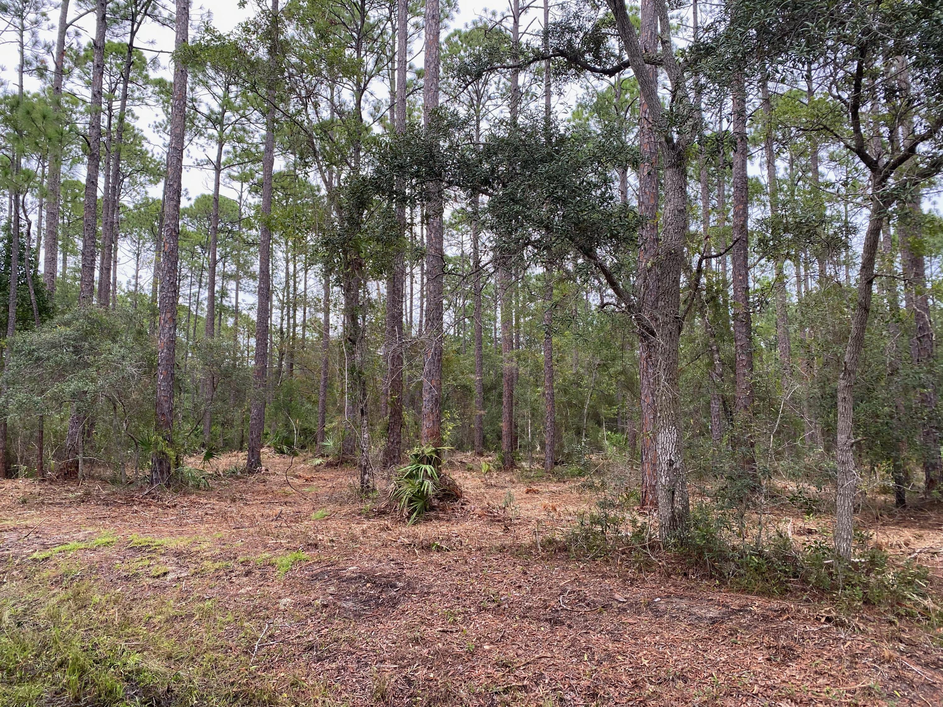 CROSS CREEK SHORES - Land