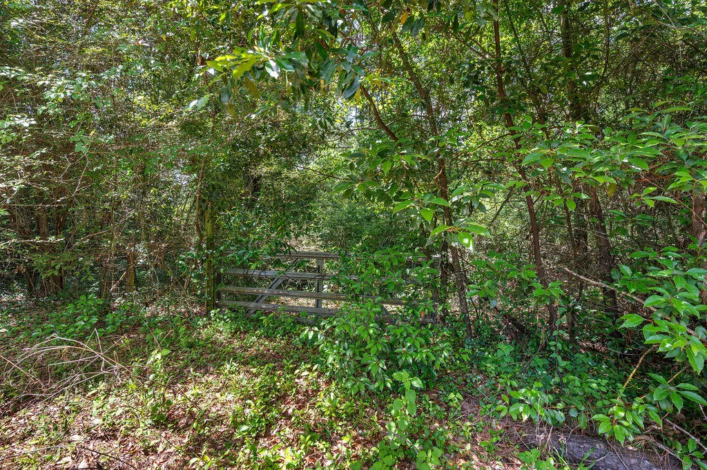 Defuniak Springs, Florida 32435, United States, ,Land,Active,28102