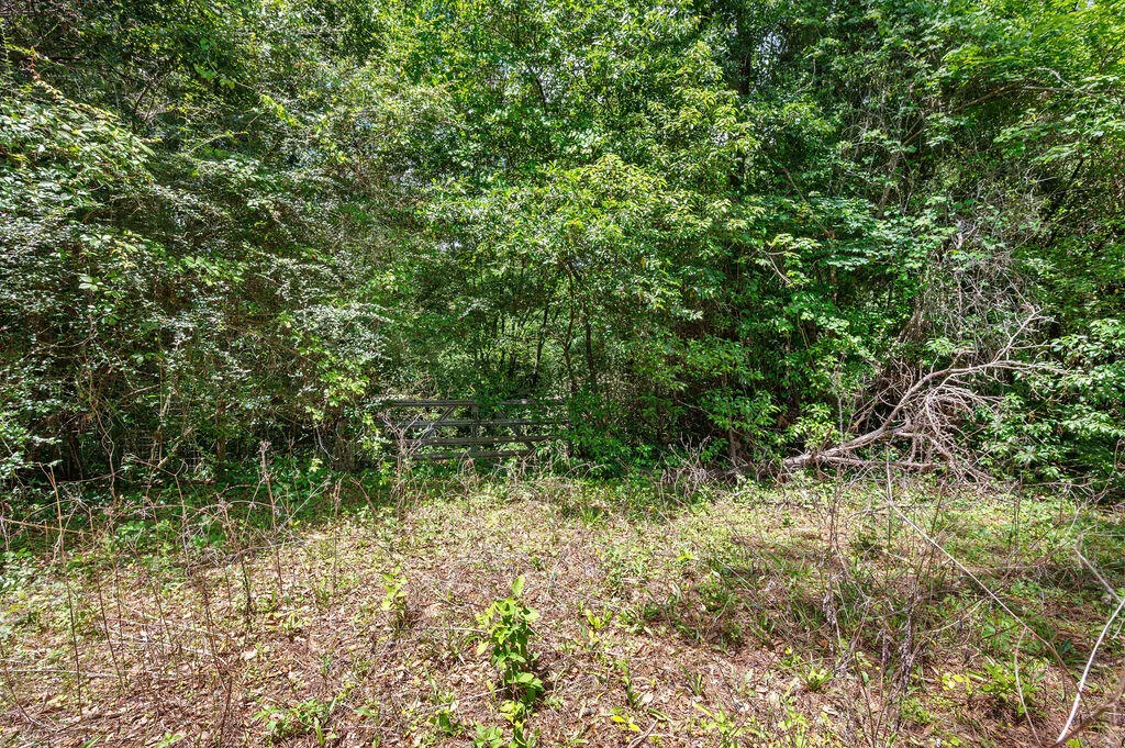 Defuniak Springs, Florida 32435, United States, ,Land,Active,28102