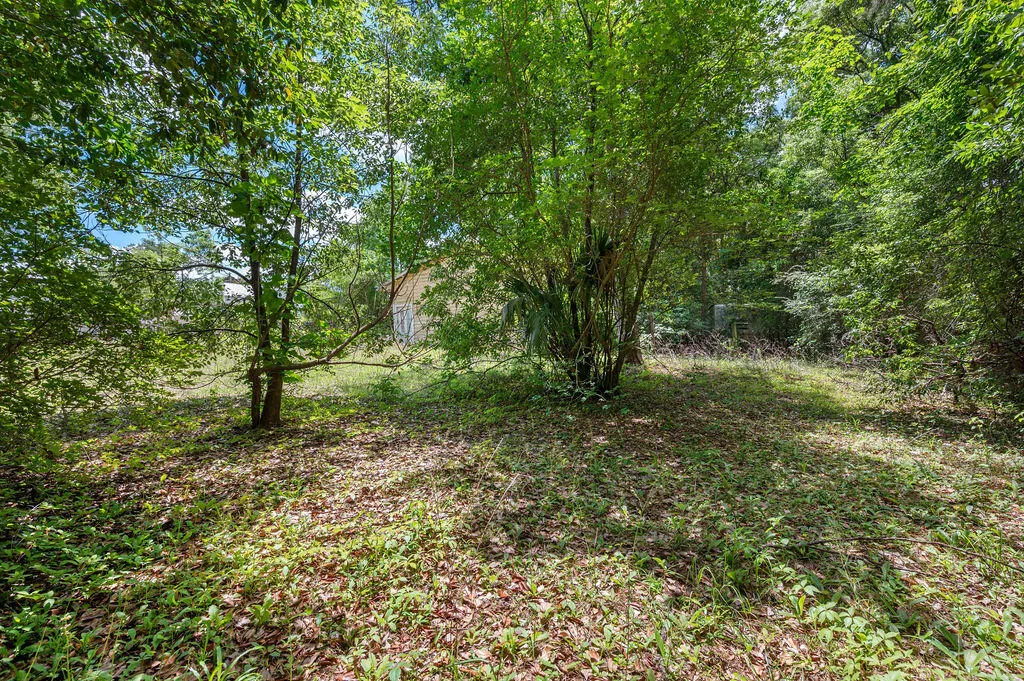 Defuniak Springs, Florida 32435, United States, ,Land,Active,28102