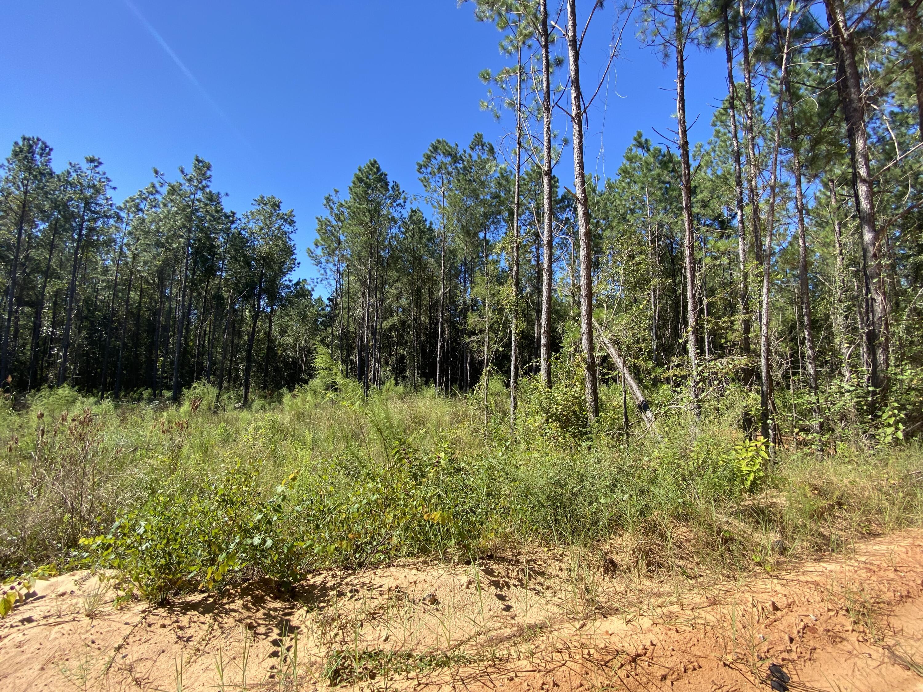 Great opportunity! 53+/- Ac of land just shy of the Shoal River, Bring your fishing poles and your build plans today. Great Location for your new home! in close proximity to local Schools, Grocery store and shopping outlets. Zoned Agricultural.