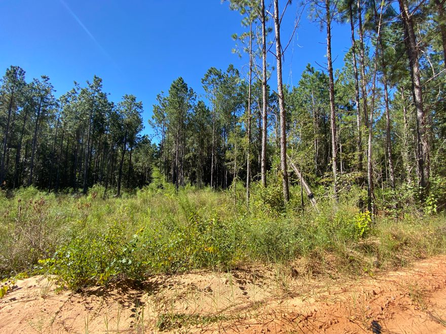 Great opportunity!  53+/- Ac of  land just shy of the Shoal River, Bring your fishing poles and your build plans today.  Great Location for your new home! in close proximity to local Schools, Grocery store and shopping outlets.
 Zoned Agricultural.