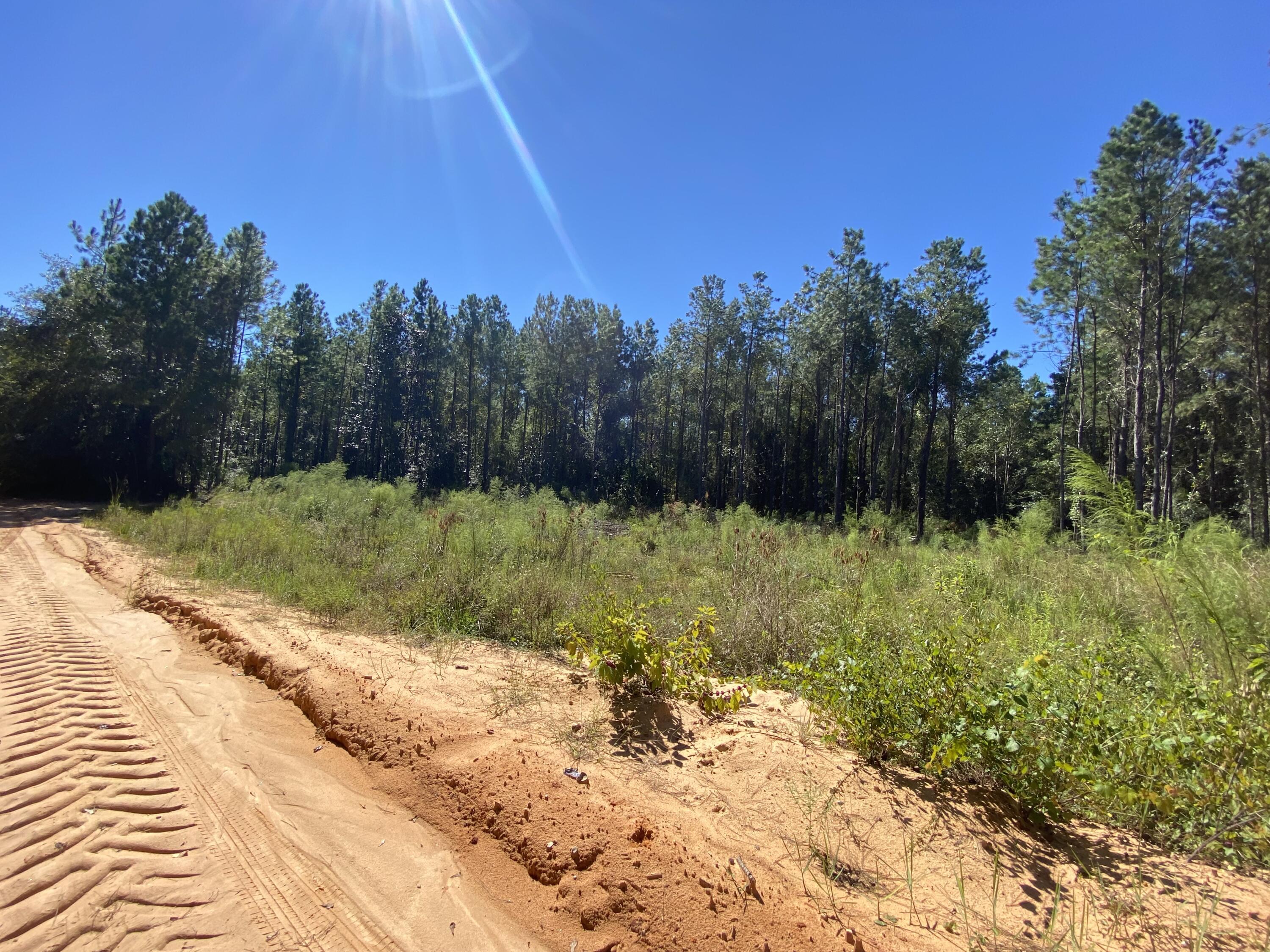 METES & BOUNDS - Land