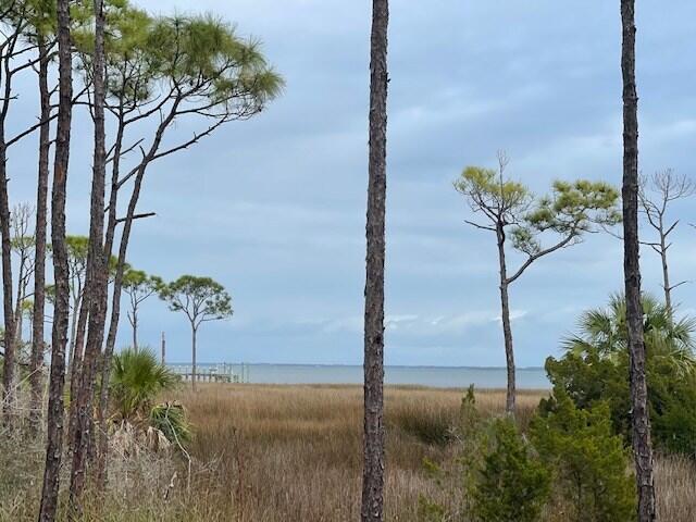 Bayfront platted lot with wetland delineation on recorded plat. This oversized lot is located in the heart of the North Cape within walking distance of Cape Trading Post, Donut Shop, Ice Cream Stand, Skully's, and St Joe Shrimp Co. Beautiful unobstructed views of St Joseph Bay and Pig Island National Wildlife Preserve. Lot is suitable for a dock down to the bay in order to have direct access. NO HOA but reasonable deed restrictions. Priced to sell!! All Dimensions were obtained from the Gulf County Property Appraiser's website, please verify if important.