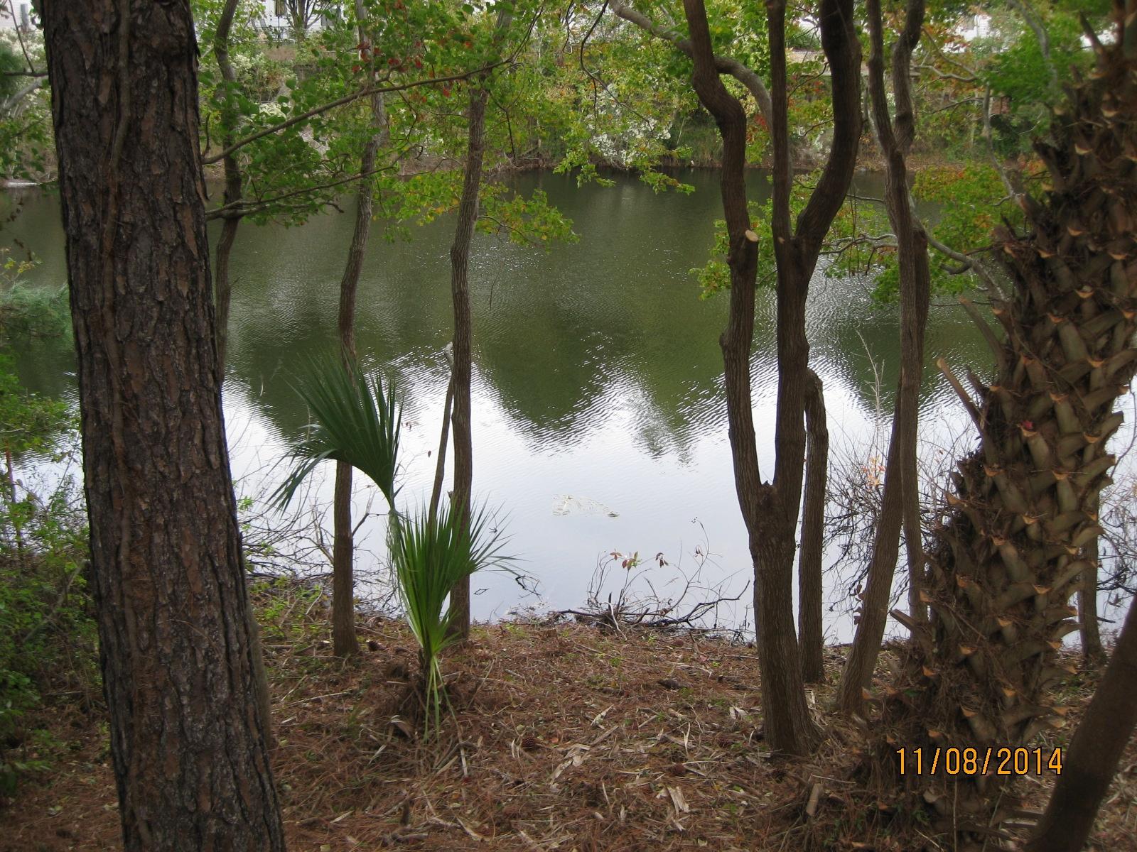QUAIL LAKE - Residential