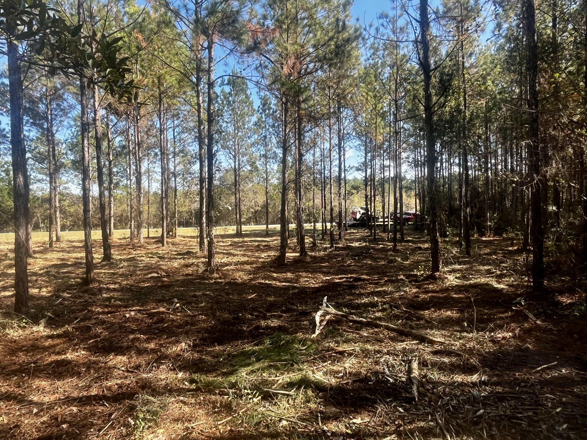 Walton County Acreage CR 0605 - Land